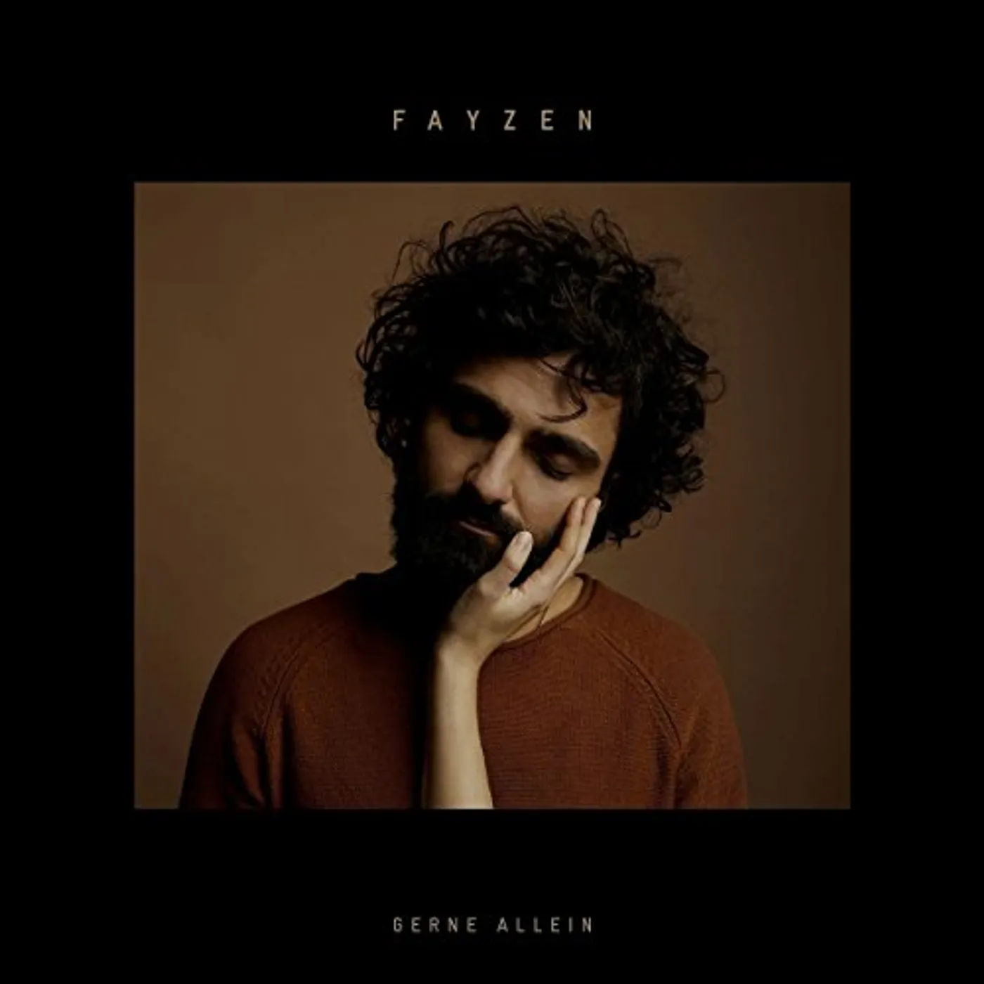 Fayzen Gerne allein Vinyl Record