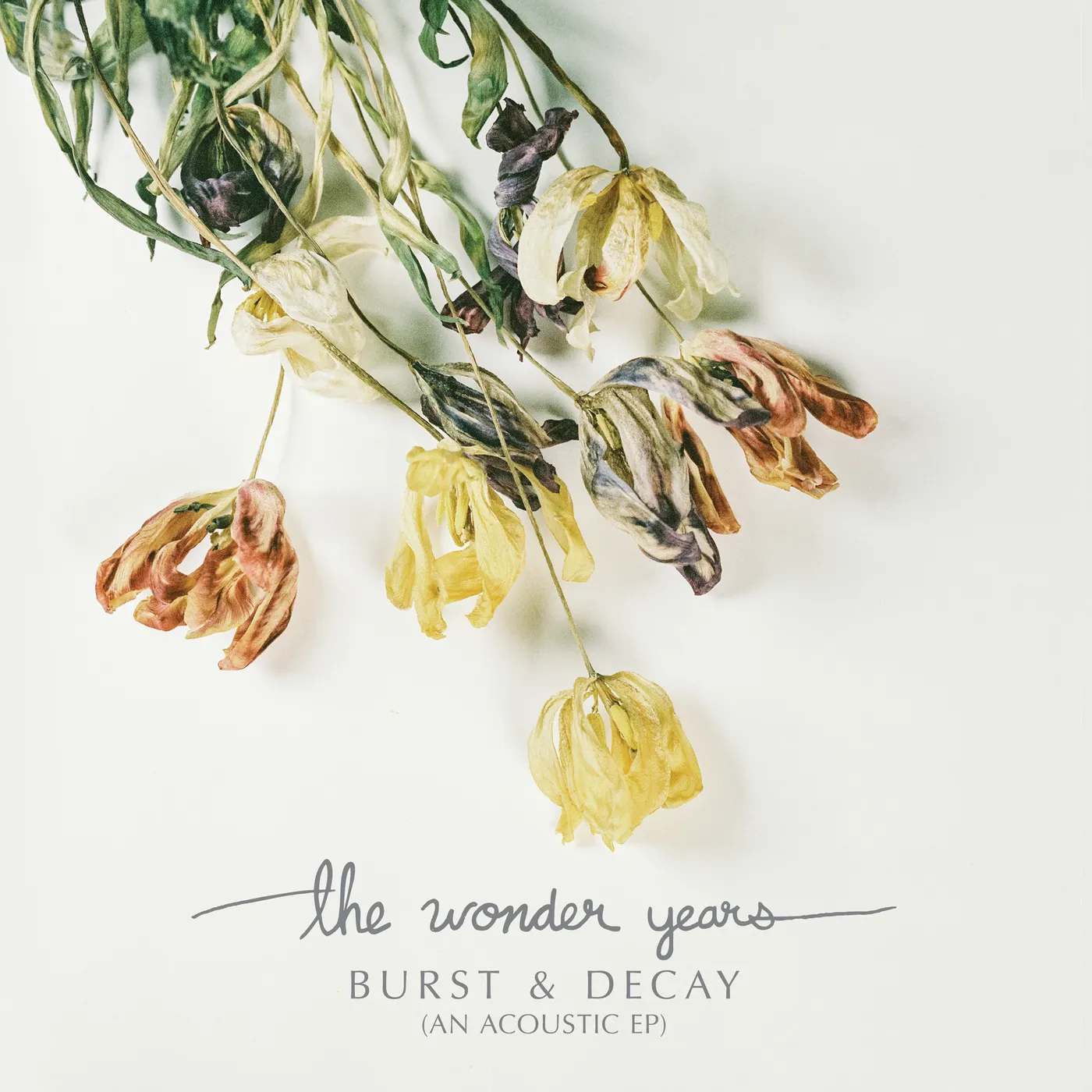 The Wonder Years BURST & DECAY Vinyl Record - Purple Vinyl
