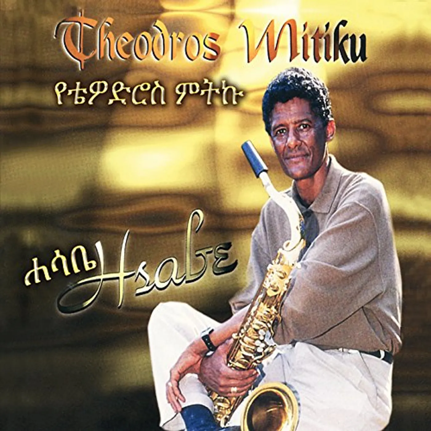 Theodros Mitiku HSABE CD