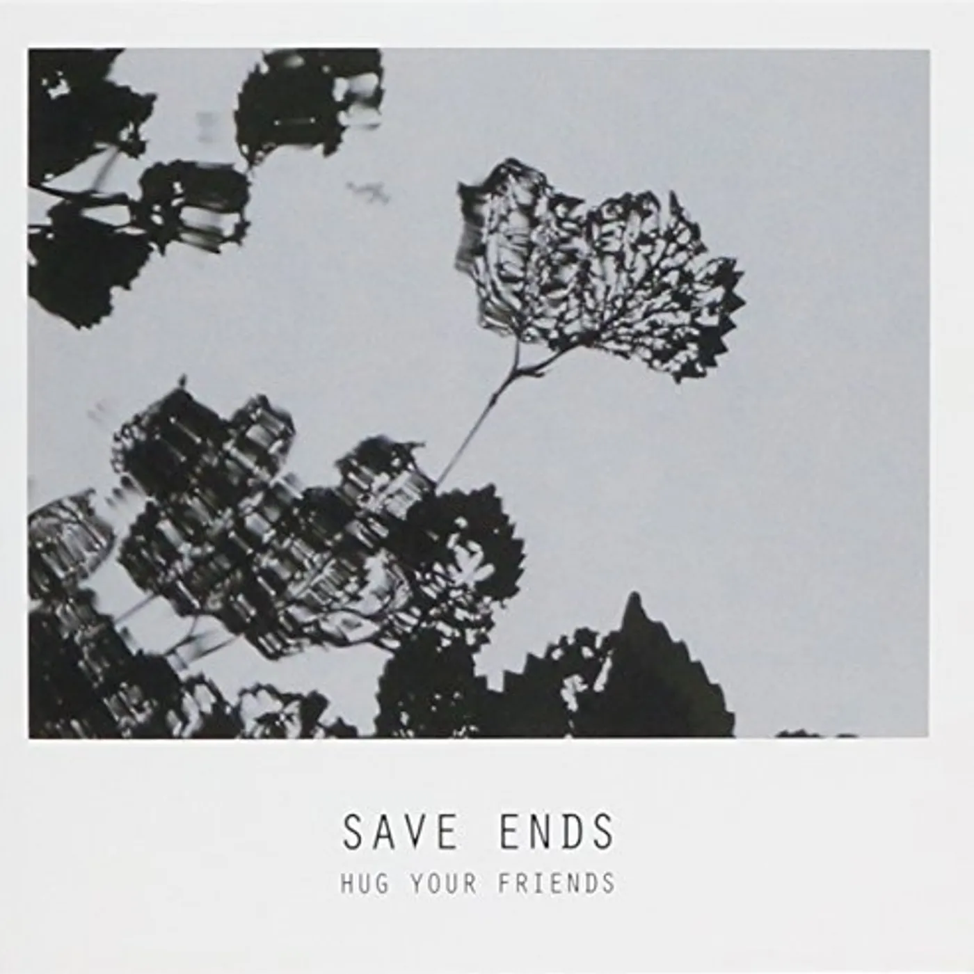Save Ends HUG YOUR FRIENDS CD