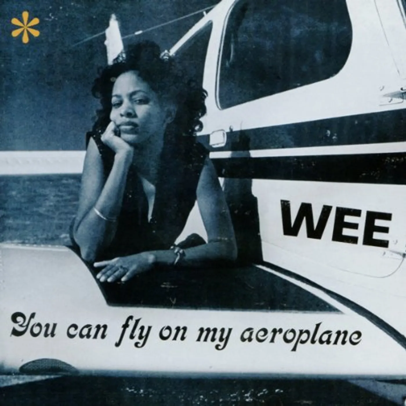 Wee You Can Fly On My Aeroplane Vinyl Record