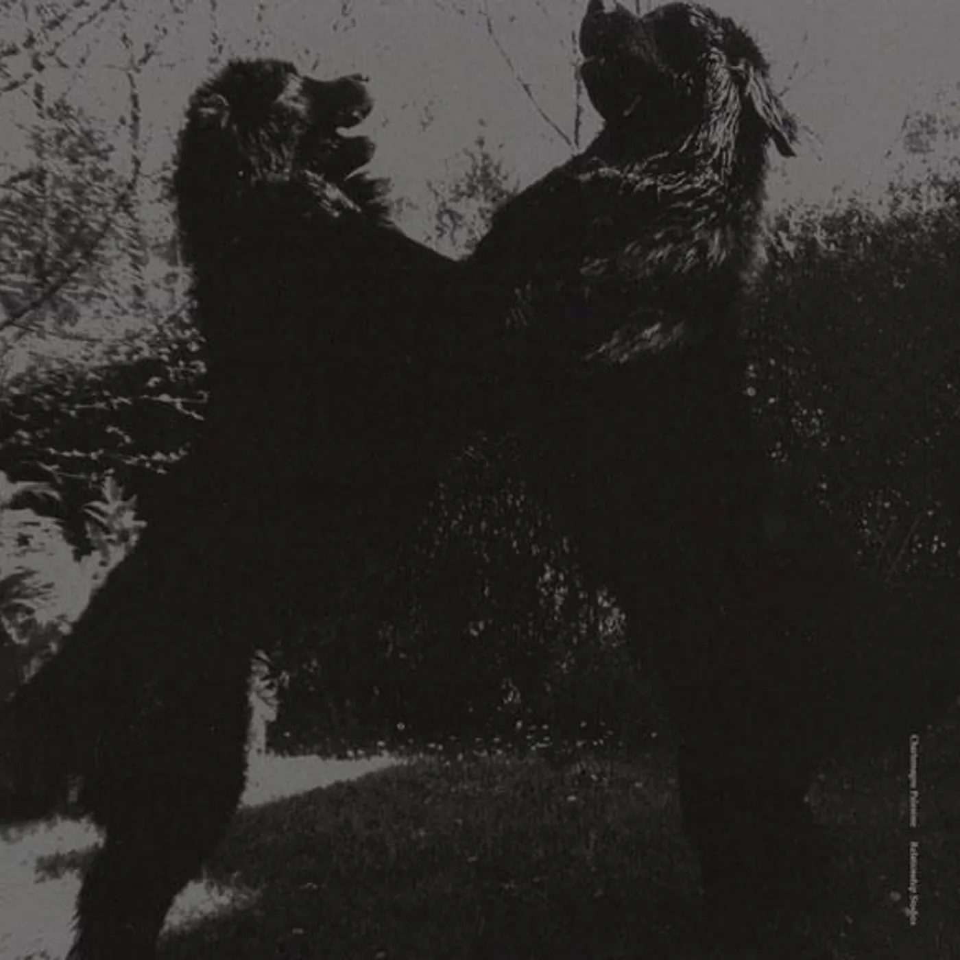 Charlemagne Palestine RELATIONSHIP STUDIES Vinyl Record