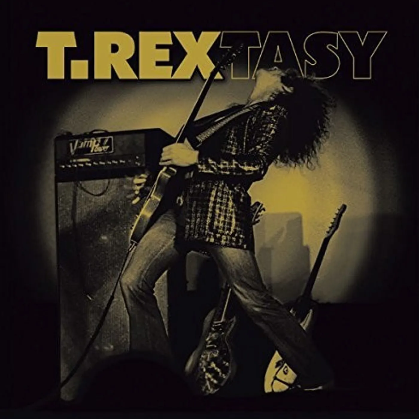 T. Rextasy Vinyl Record