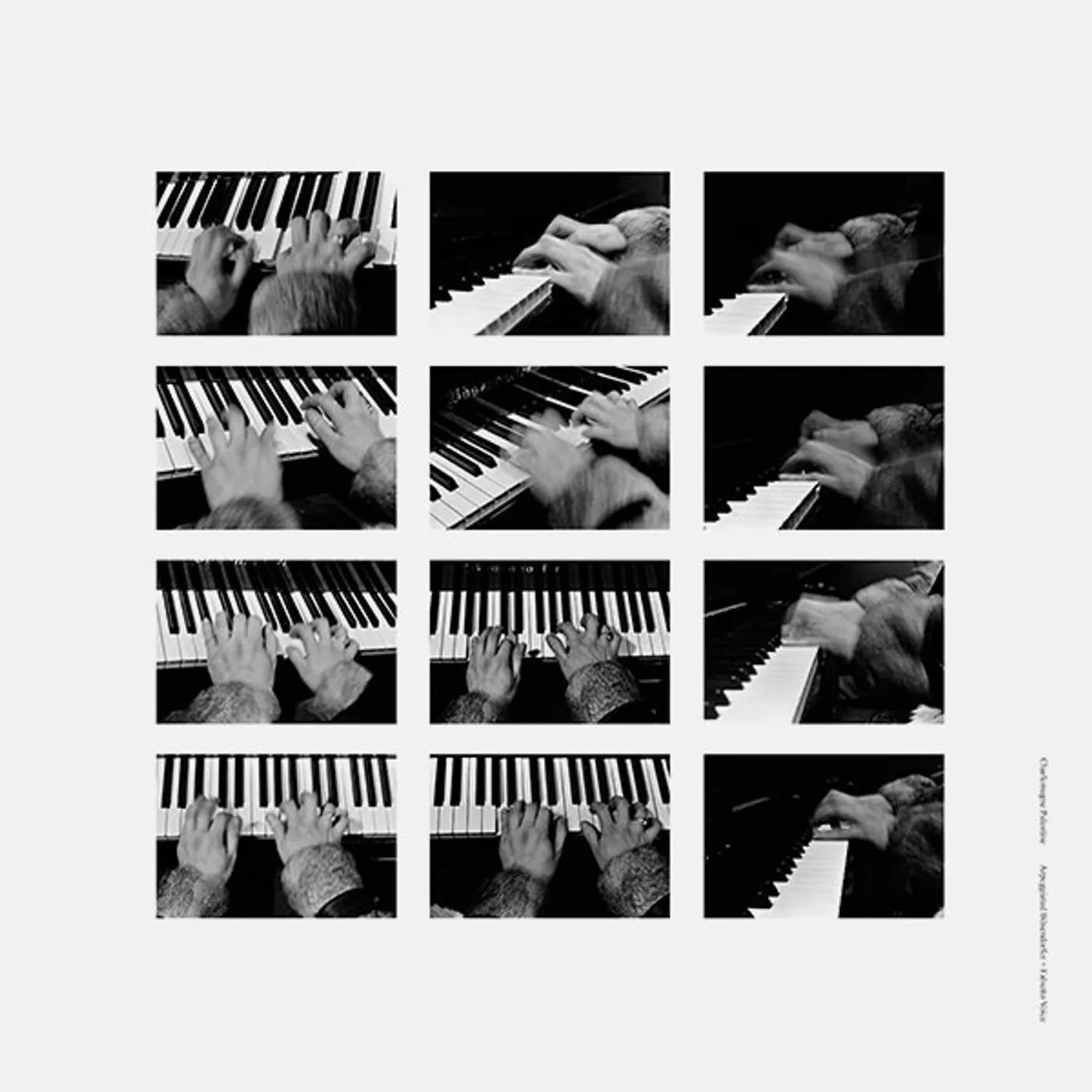 Charlemagne Palestine ARPEGGIATED BOSENDORFER + FALSETTO VOICE Vinyl Record