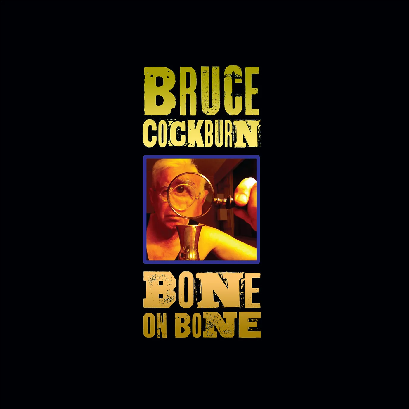 Bruce Cockburn Bone On Bone Vinyl Record
