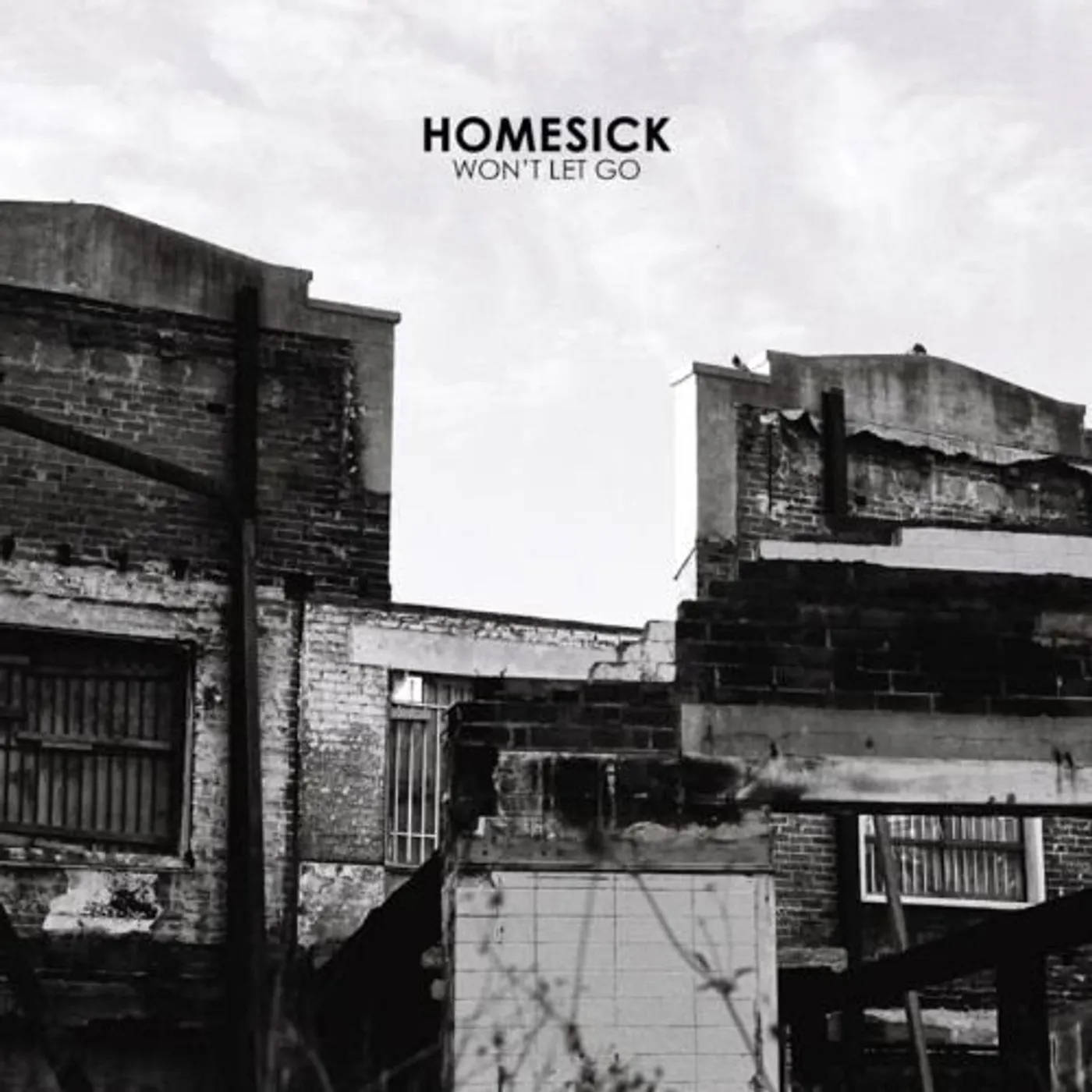 The Homesick WON'T LET GO Vinyl Record