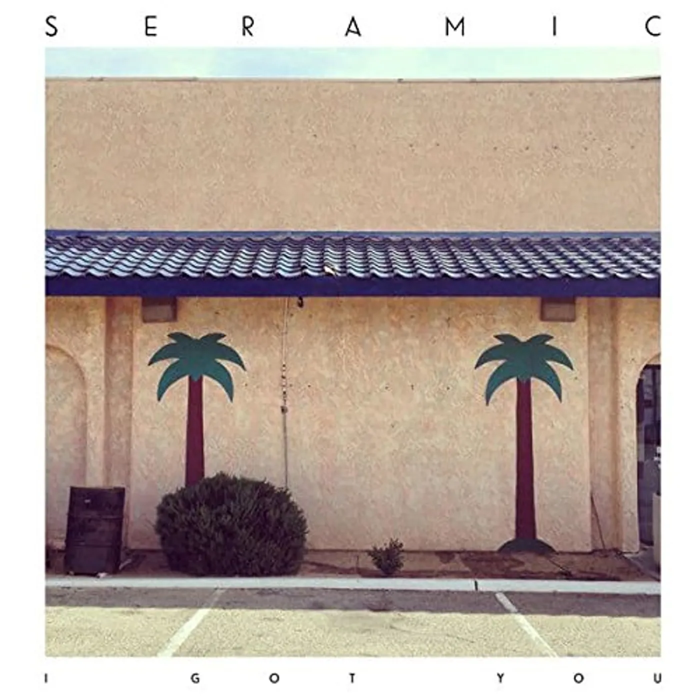Seramic I Got You Vinyl Record