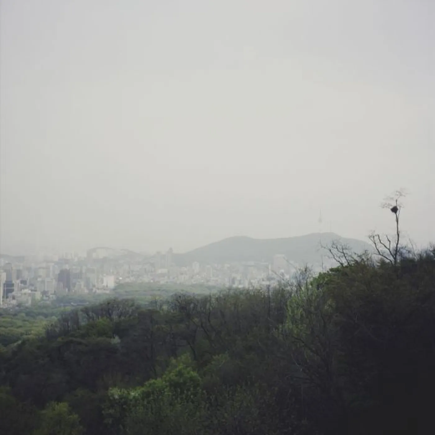 Gidge For Seoul Vinyl Record