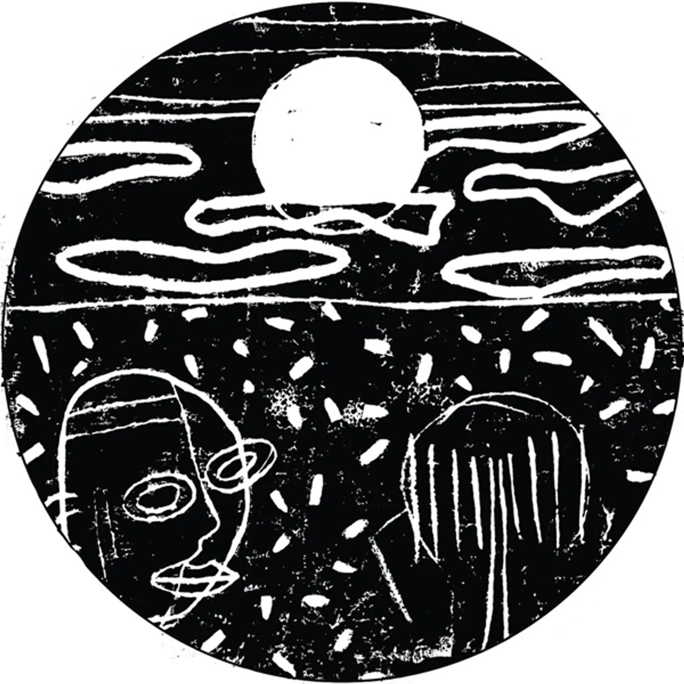 Duckett GANNETS FOR GUANO Vinyl Record