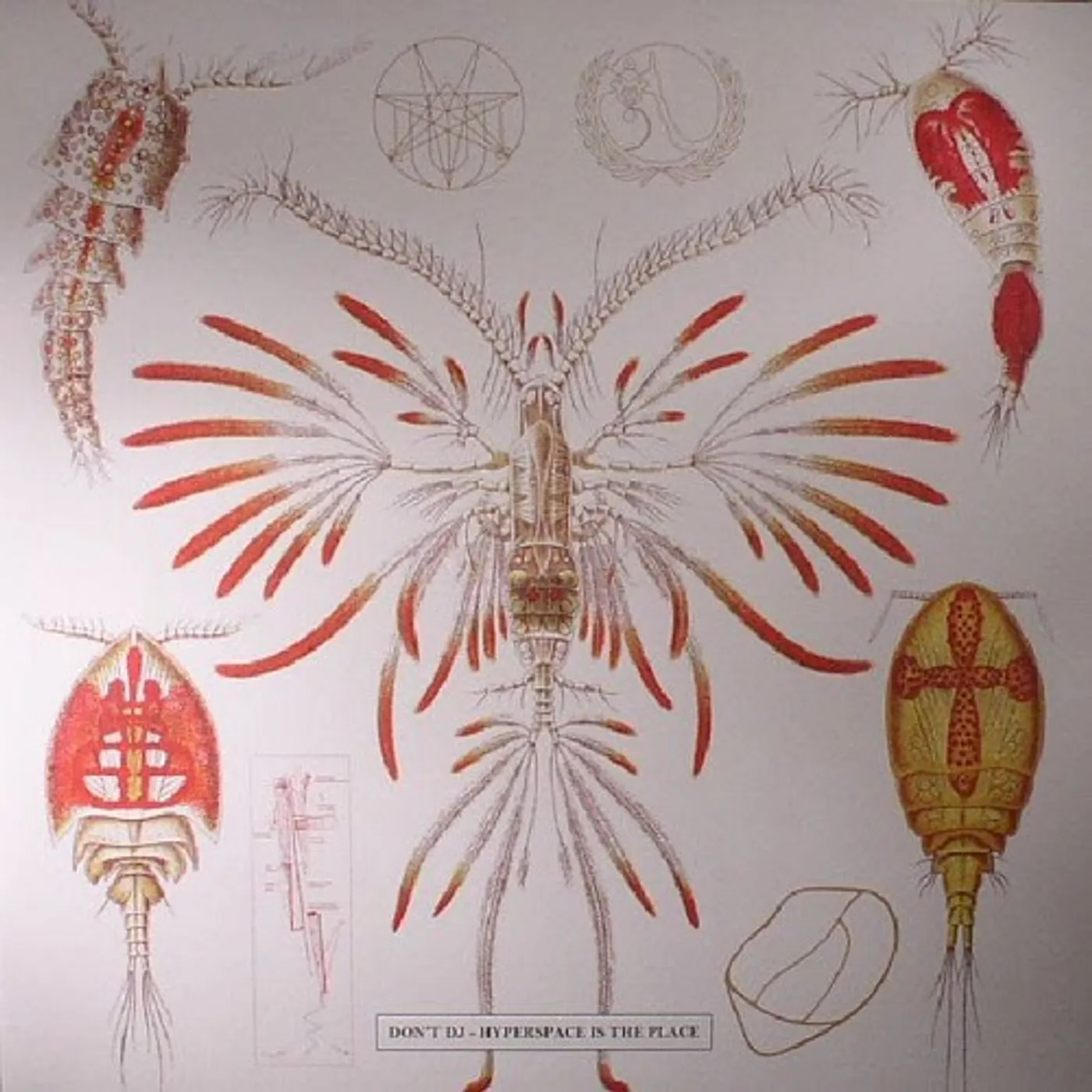 Don't DJ Hyperspace Is The Place / Hyperspace Is No Place Vinyl Record