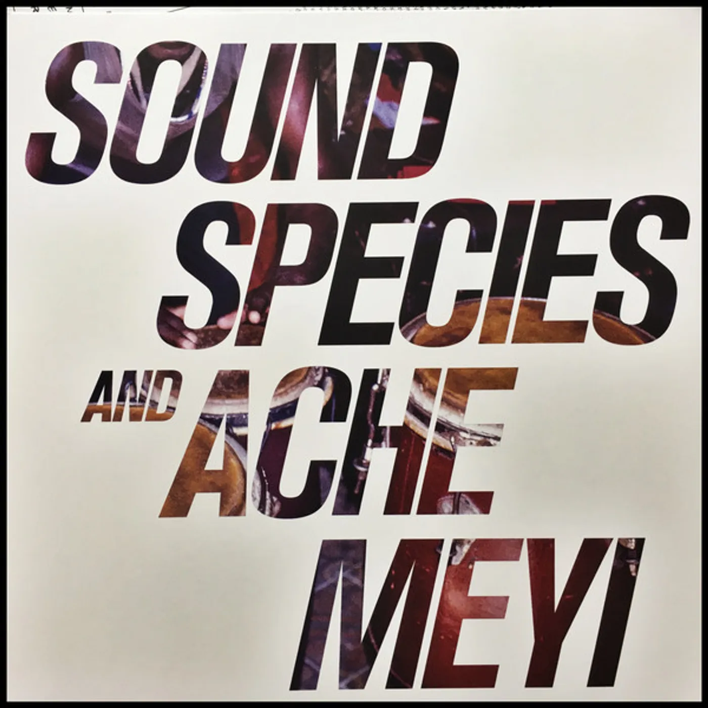 SOUNDSPECIES & ACHE MEYI Vinyl Record
