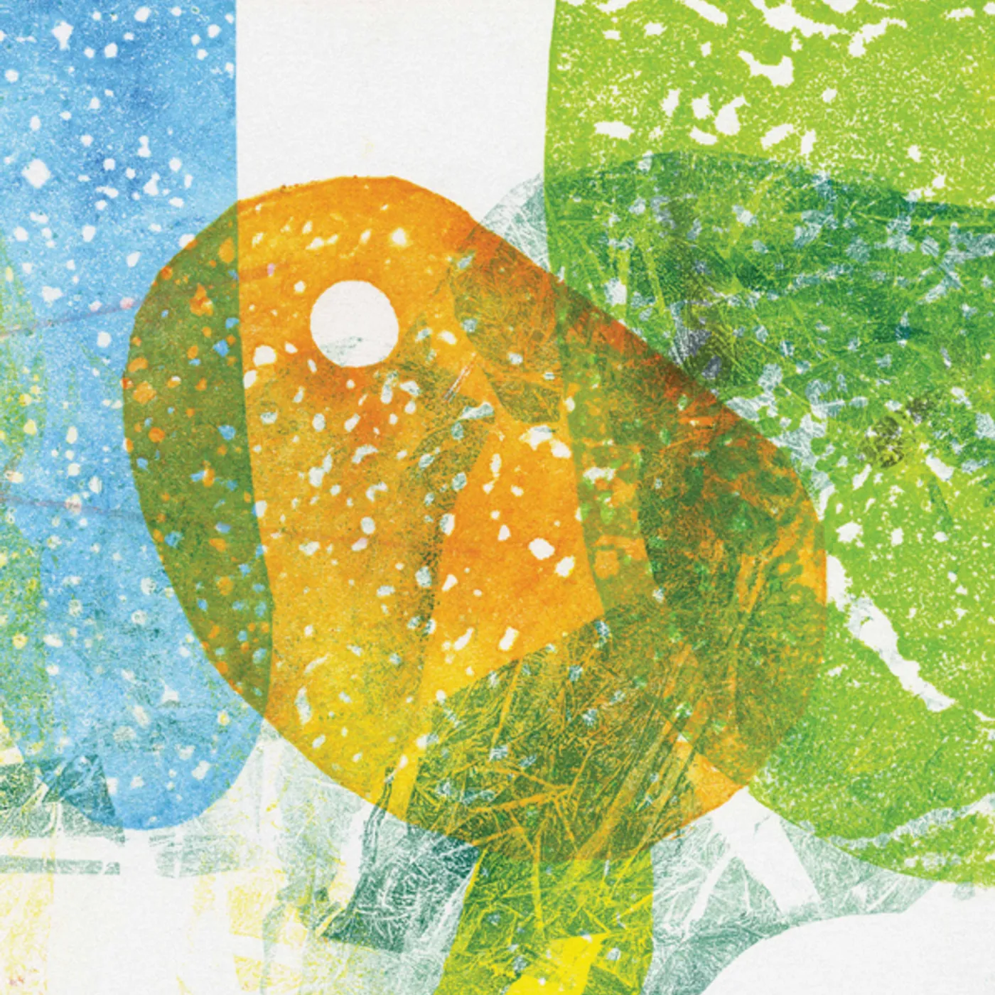 DSR Lines Spoel Vinyl Record