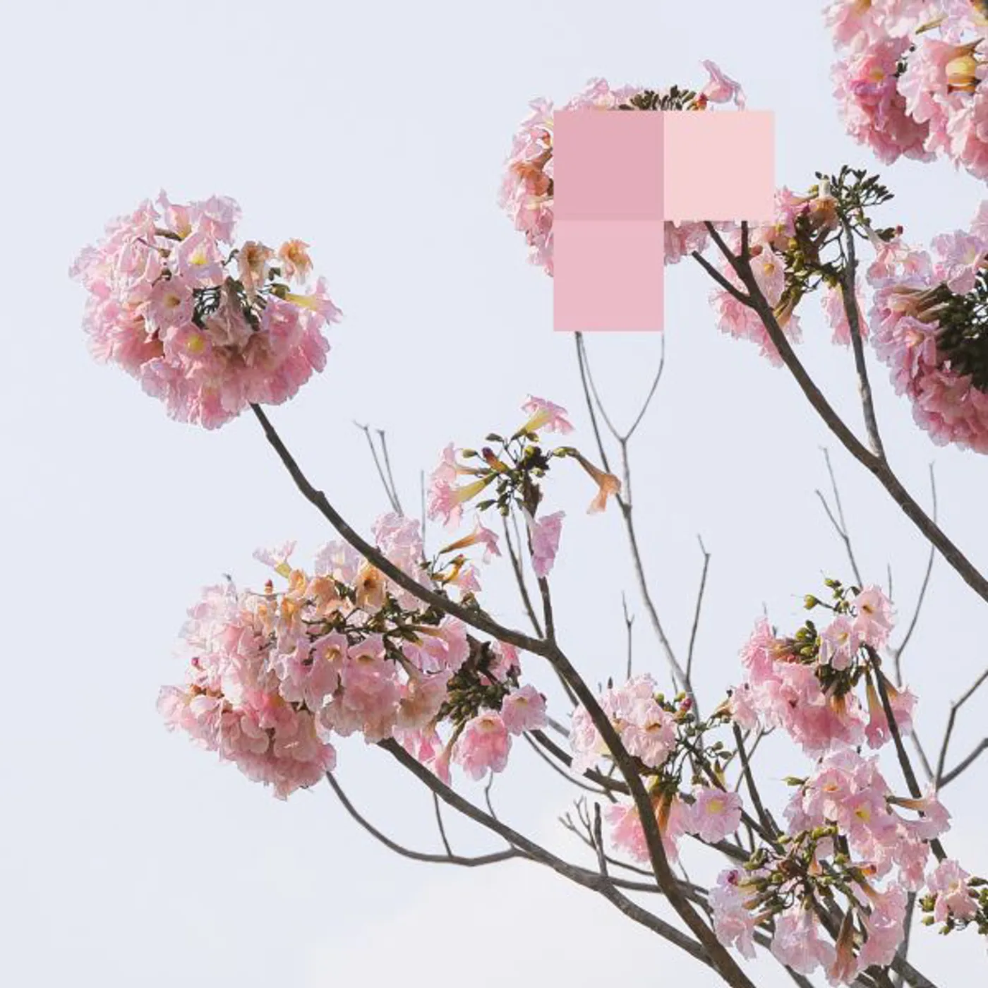 Fouk WITH LASERS Vinyl Record