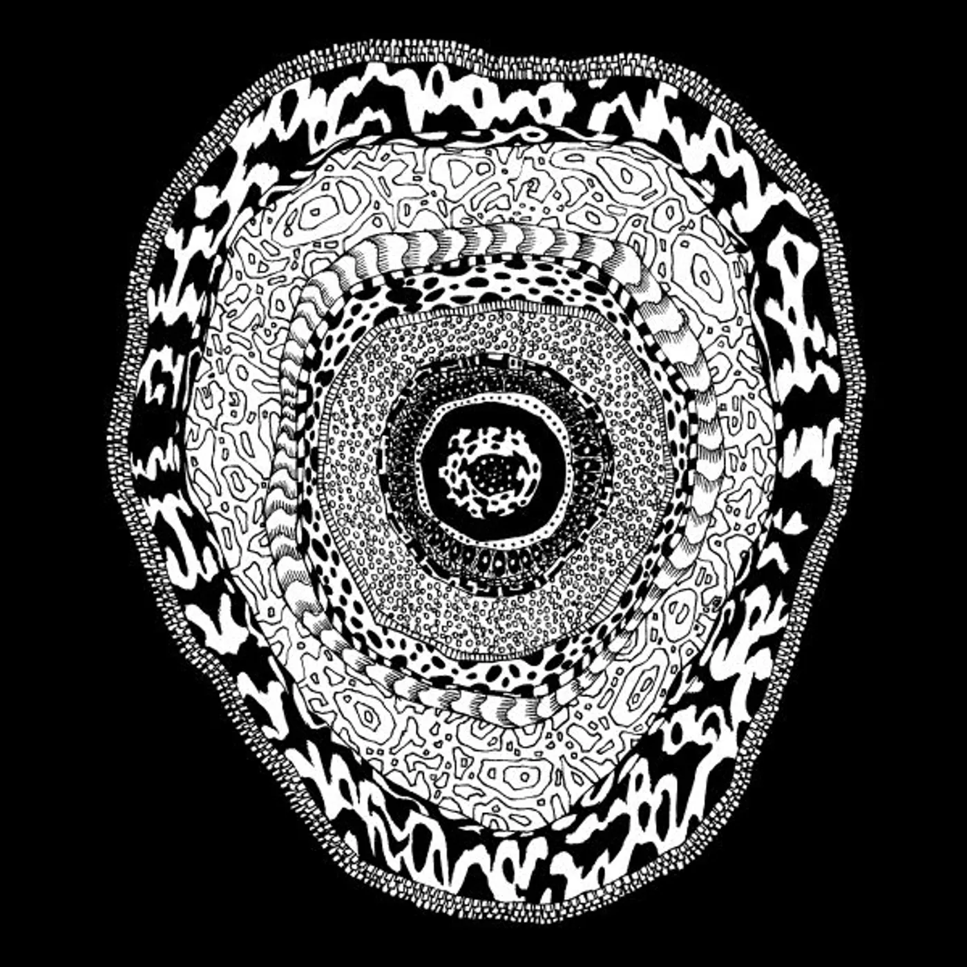 Adana Twins Flower of Cane Vinyl Record