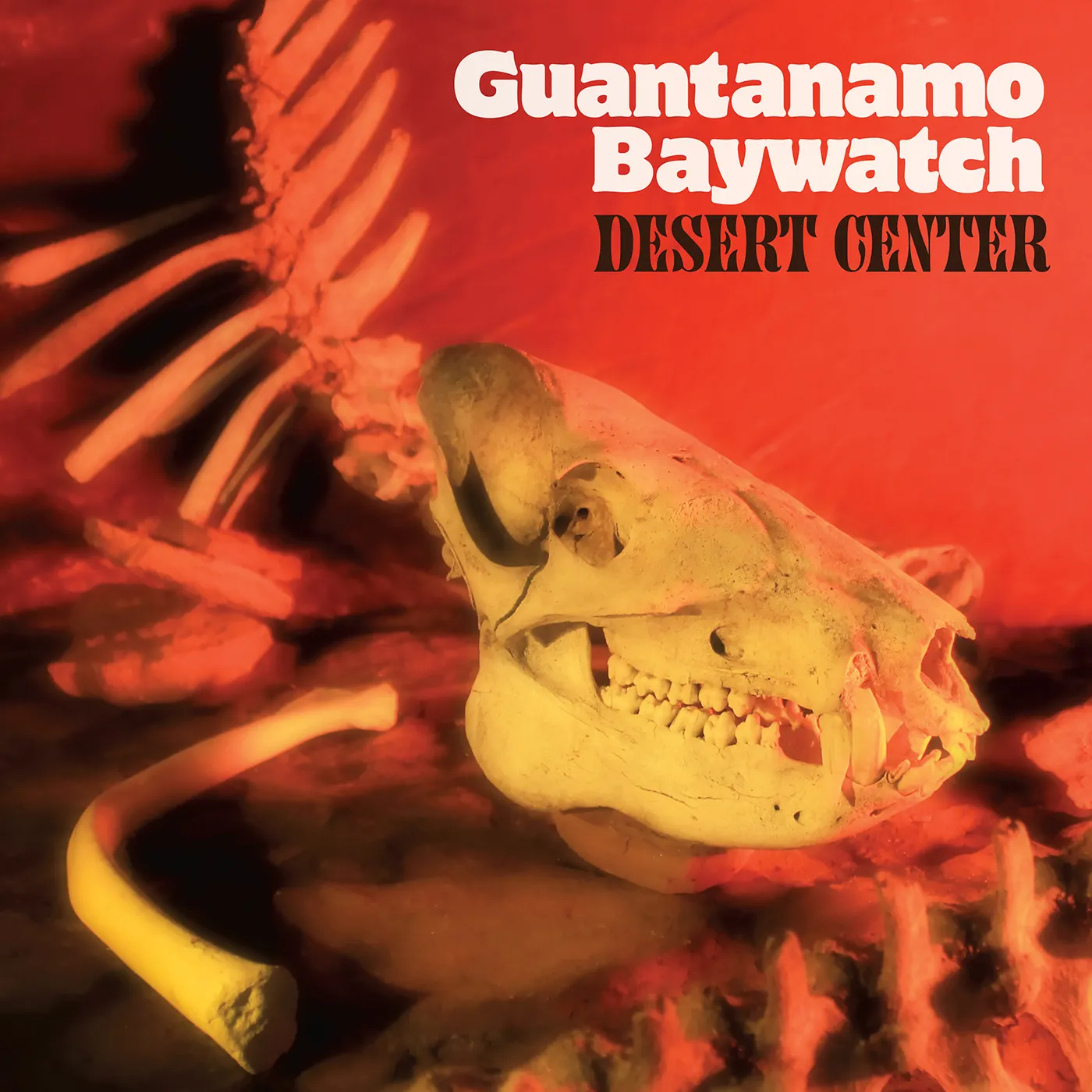 Guantanamo Baywatch Desert Center Vinyl Record