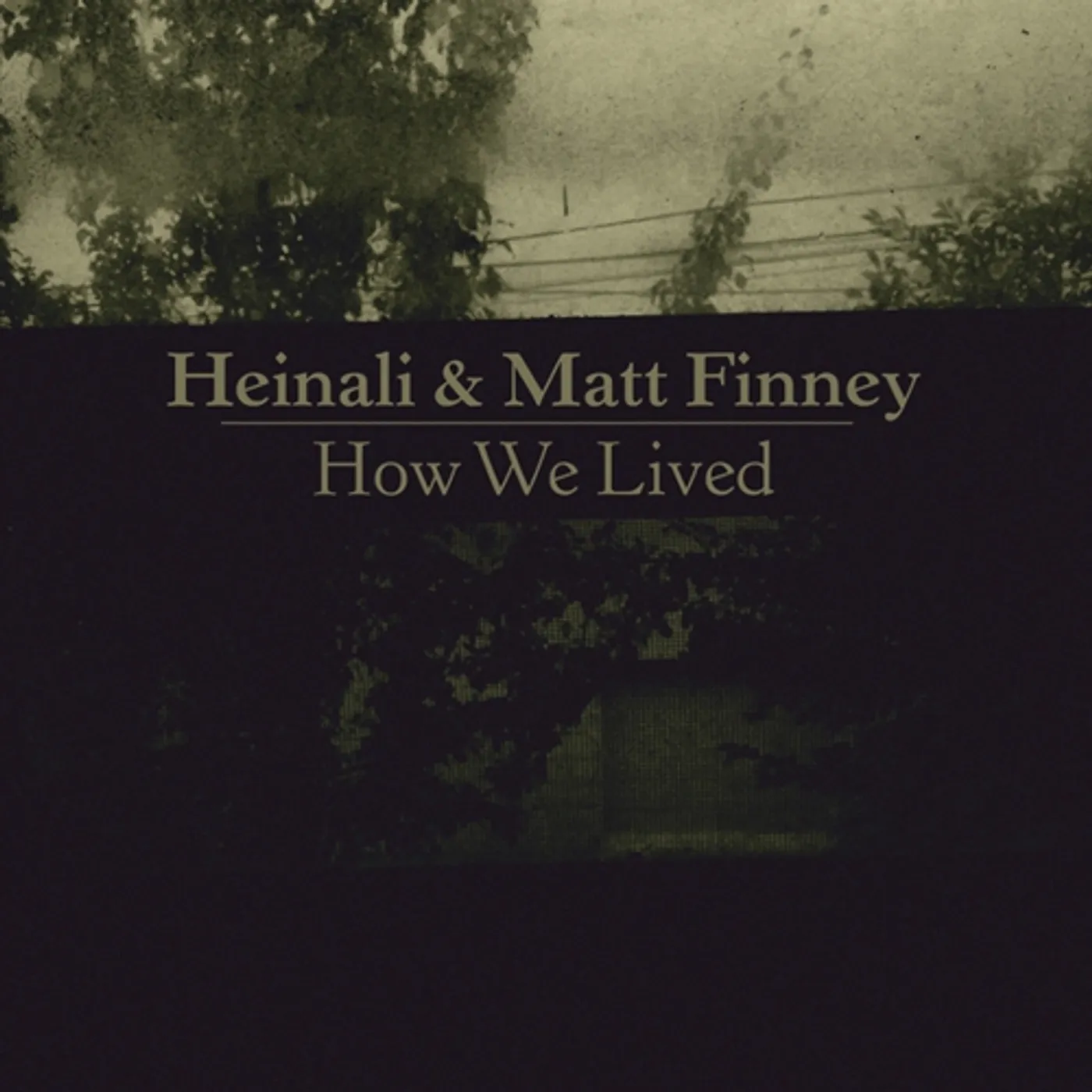 Heinali and Matt Finney How We Lived Vinyl Record