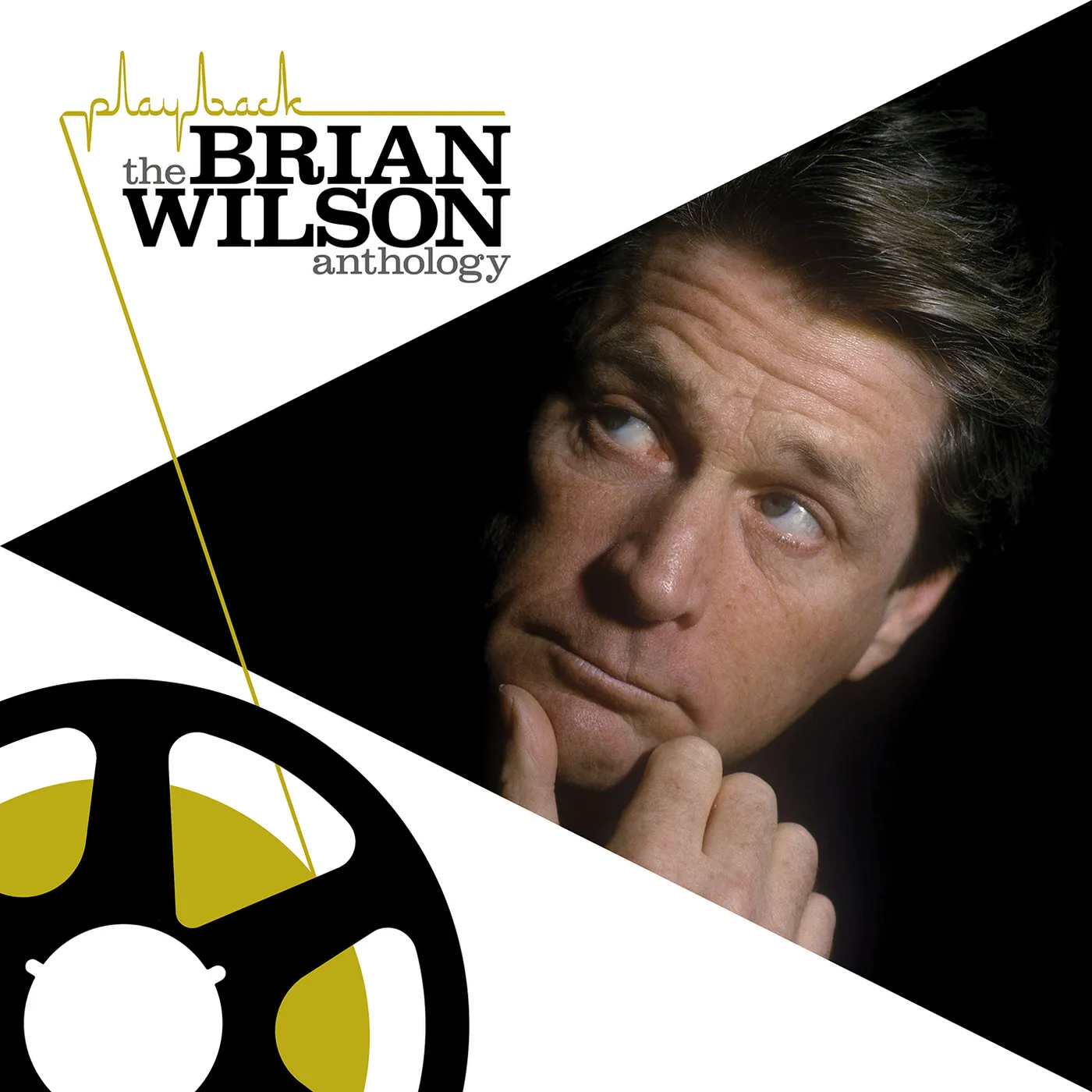 PLAYBACK: BRIAN WILSON ANTHOLOGY Vinyl Record