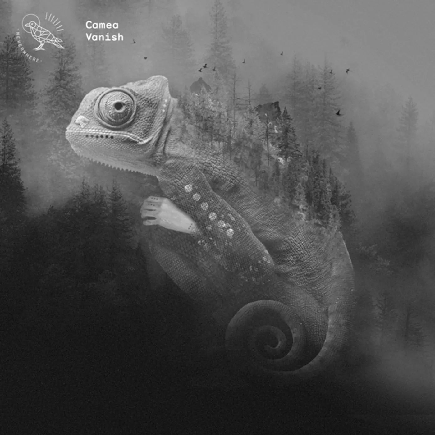 Camea Vanish Vinyl Record