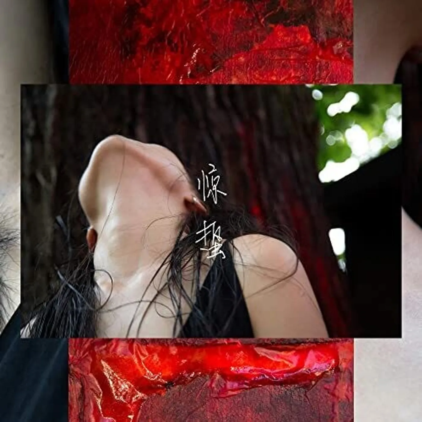 Pan Daijing Lack Vinyl Record