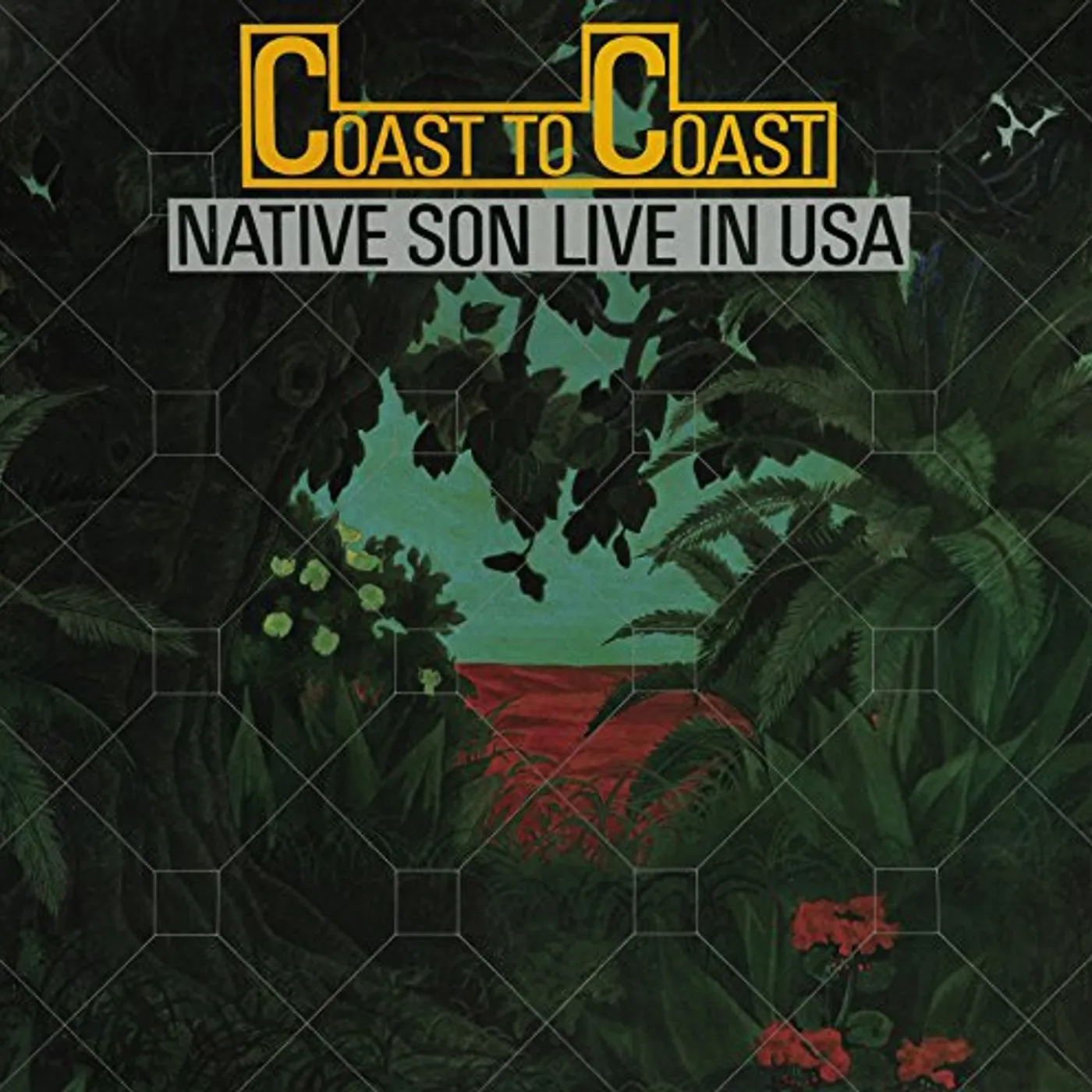 Native Son COAST TO COAST: LIVE IN USA + 1 CD