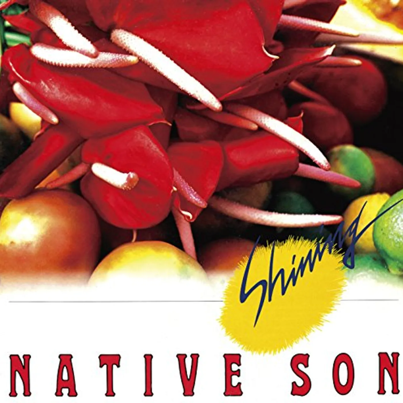 Native Son SHINING CD