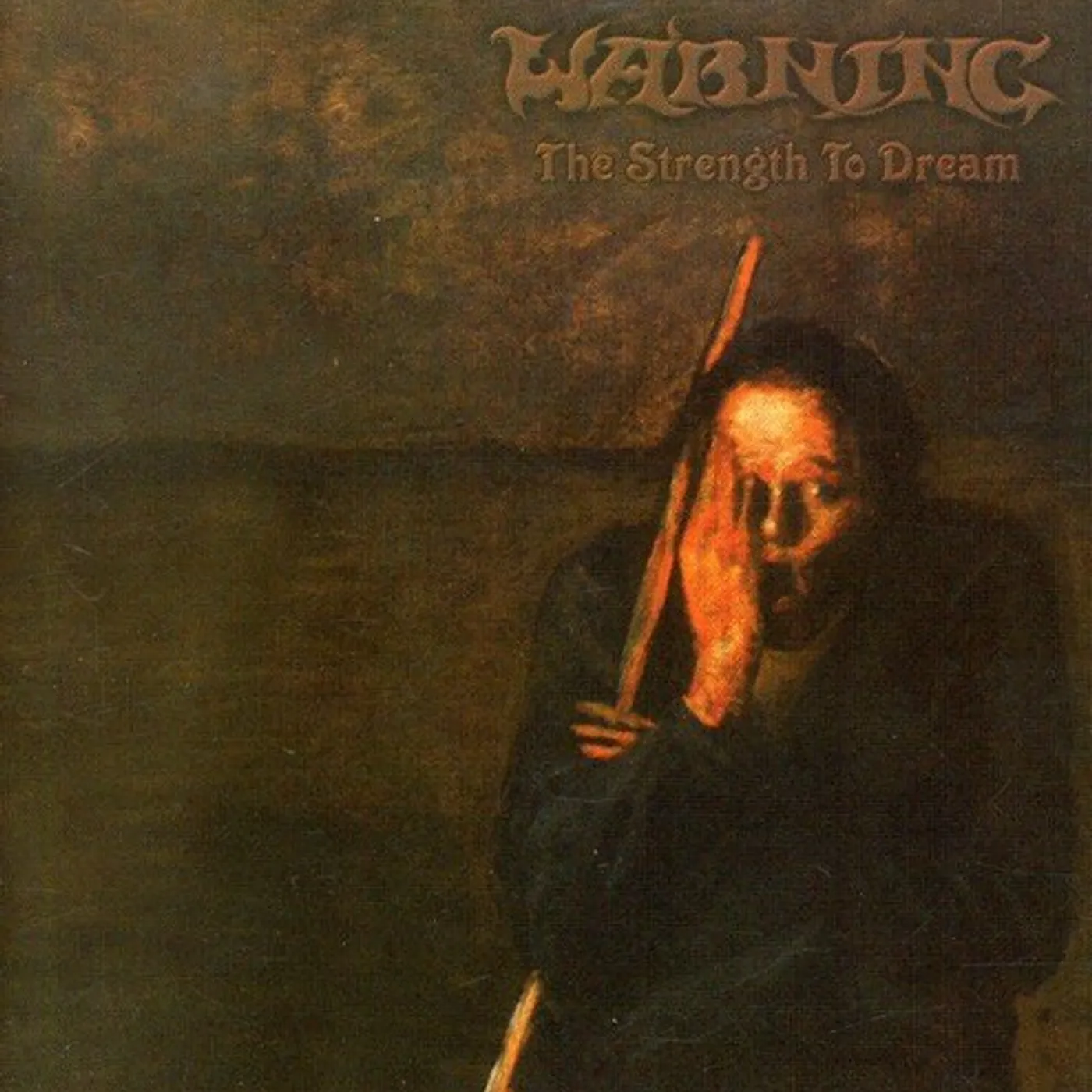 Warning STRENGTH TO DREAM Vinyl Record