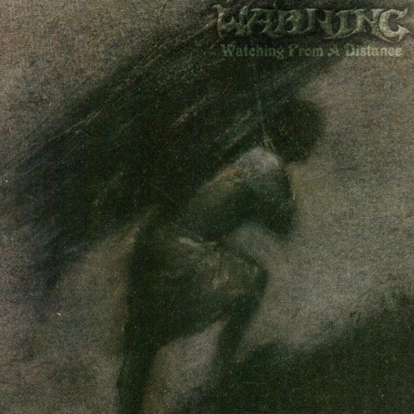 Warning Watching From A Distance Vinyl Record