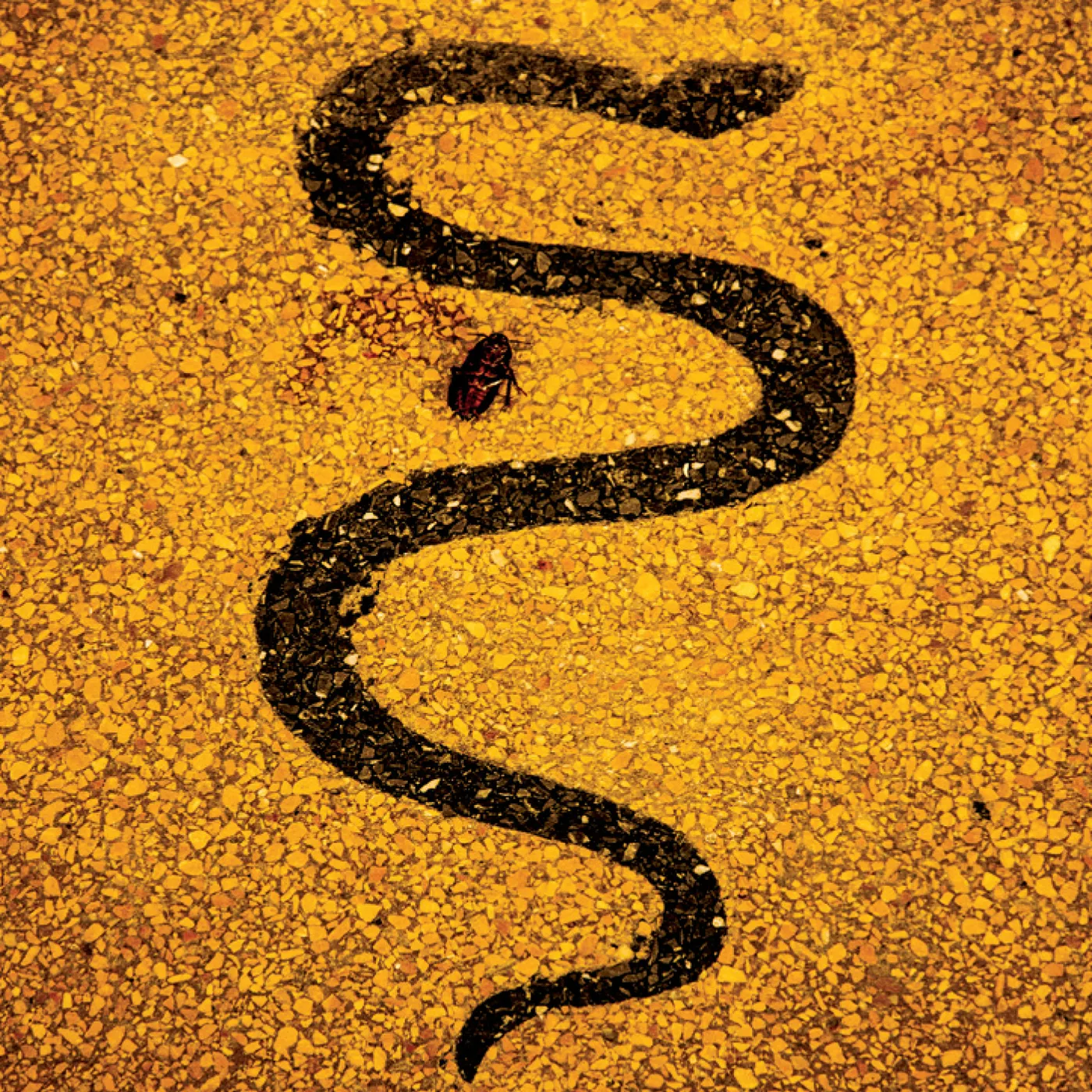 Soror Dolorosa APOLLO CD