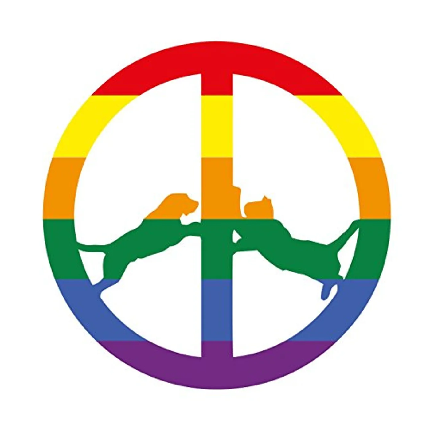 Hype Williams RAINBOW EDITION CD