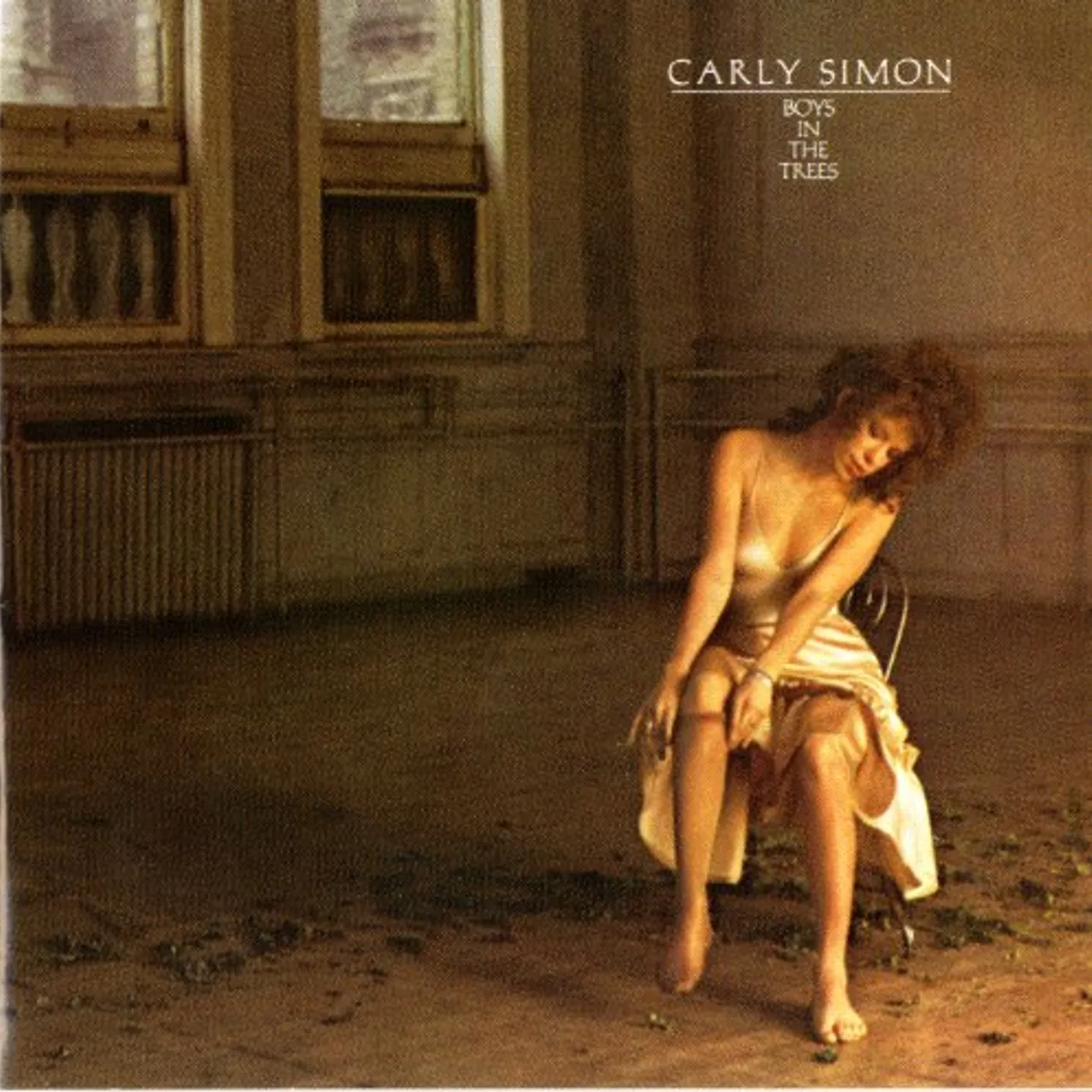 Carly Simon BOYS IN THE TREES (YOU BELONG TO ME) Vinyl Record