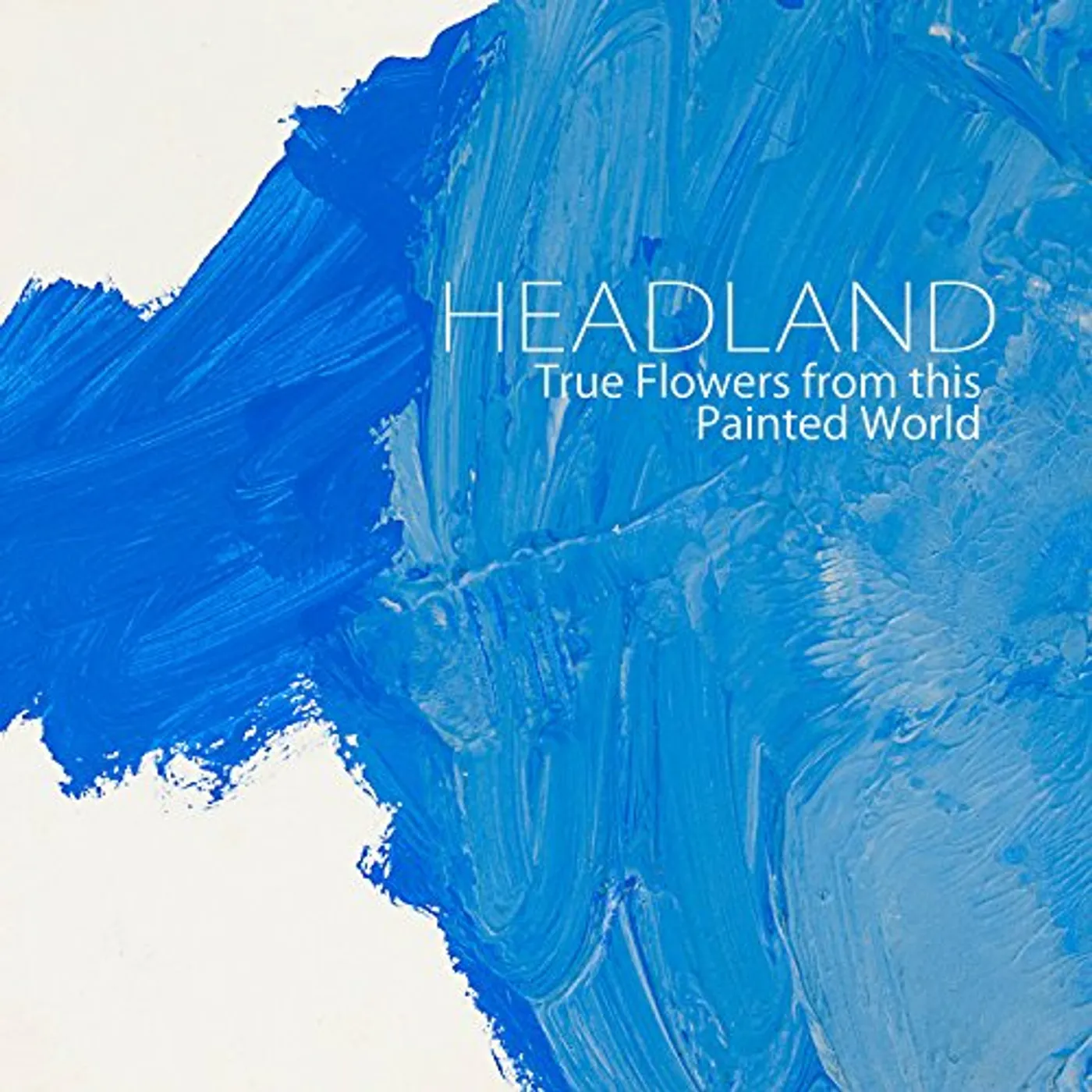 Headland True Flowers from This Painted World Vinyl Record