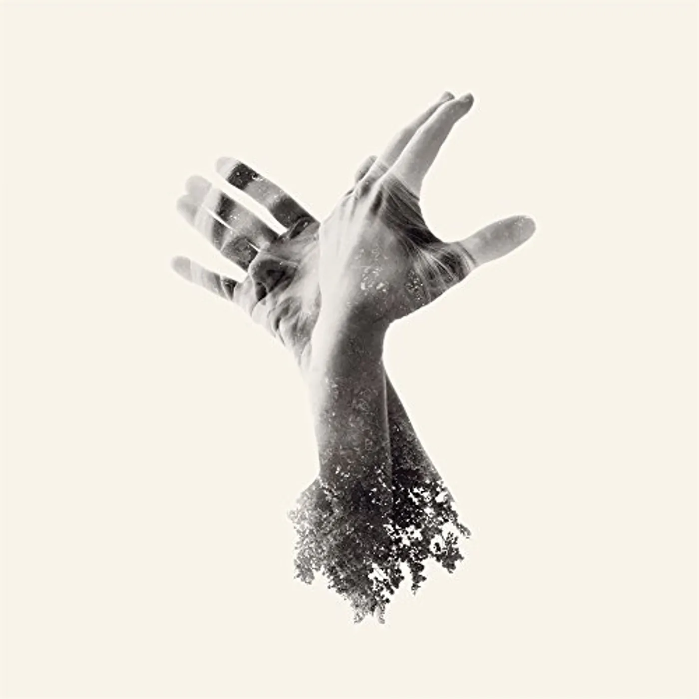 The Last Dinosaur NOTHING Vinyl Record