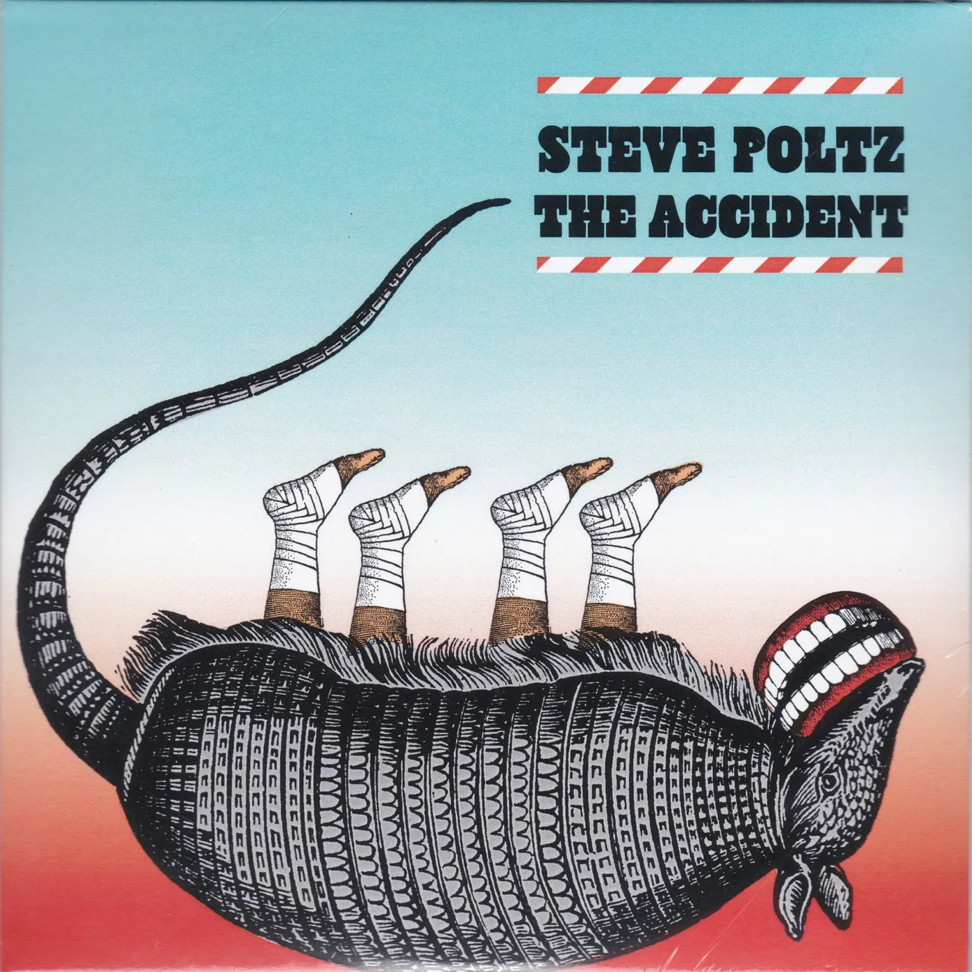Steve Poltz ACCIDENT CD