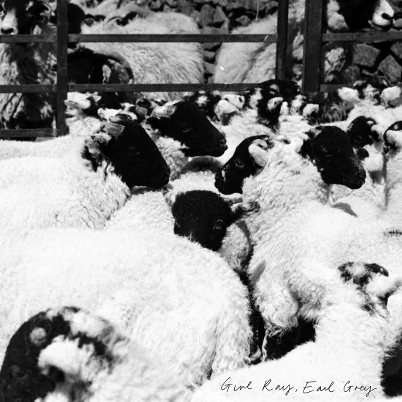 Girl Ray EARL GREY CD