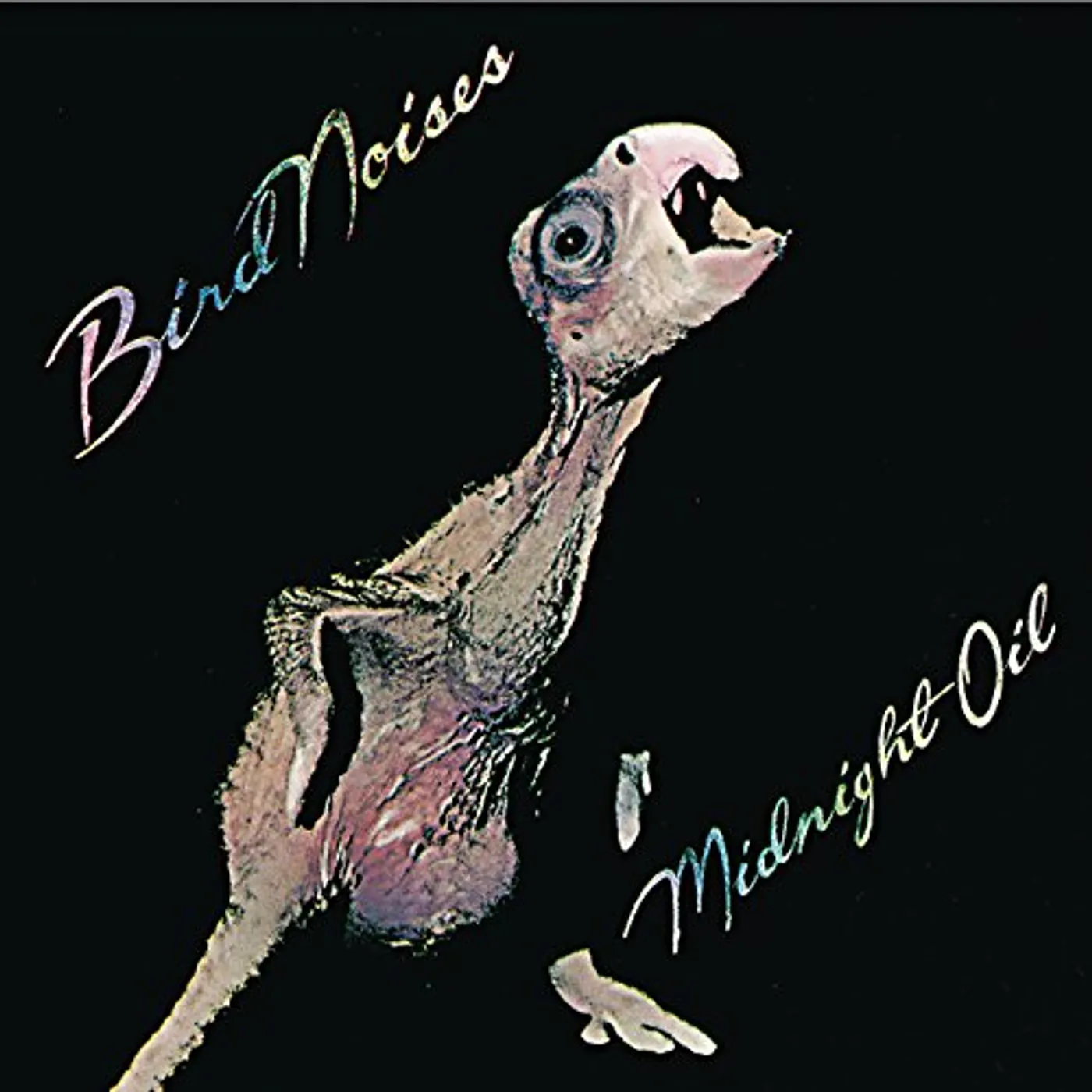 Midnight Oil Bird Noises Vinyl Record