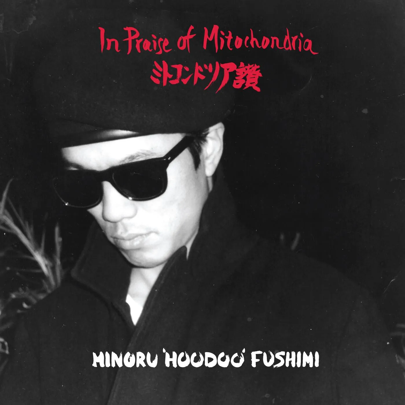 Minoru 'Hoodoo' Fushimi IN PRAISE OF MITOCHODRIA Vinyl Record