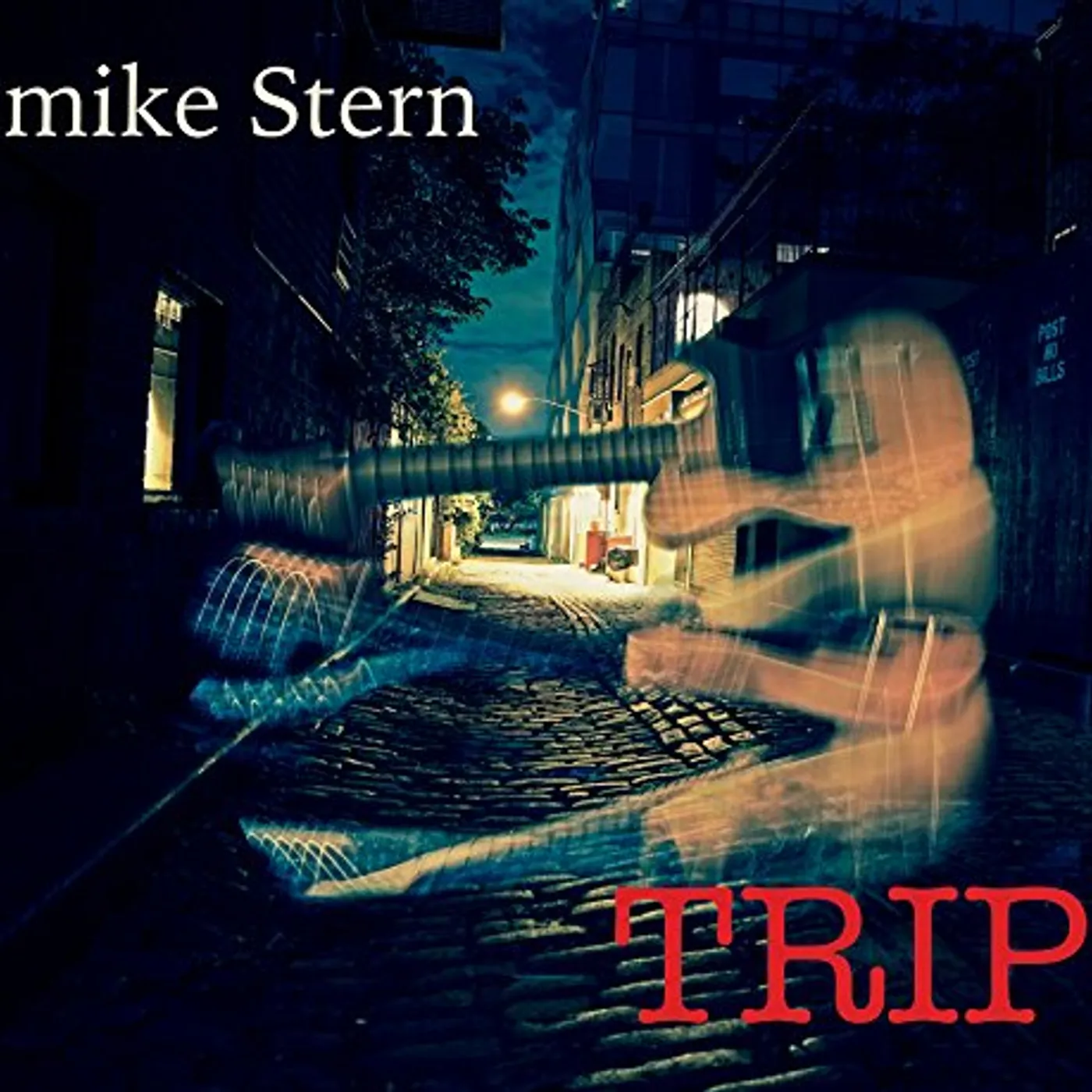 Mike Stern TRIP CD