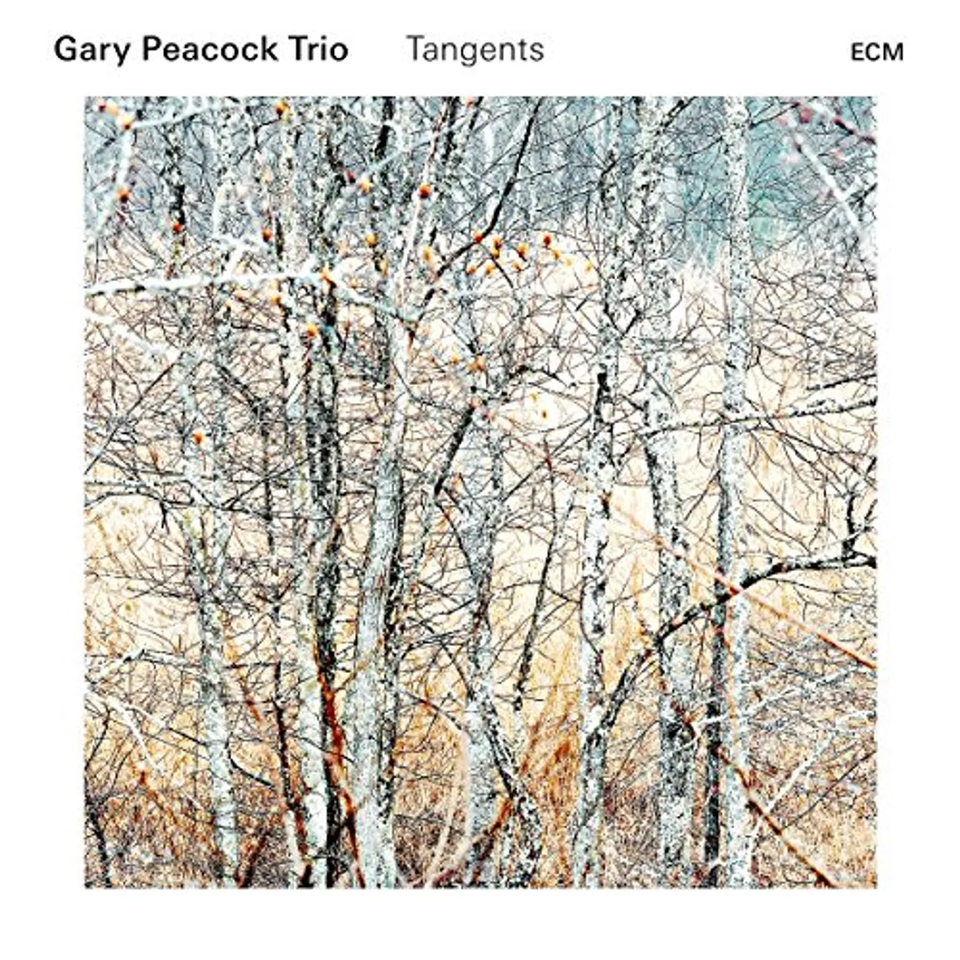 Gary Peacock TANGENTS CD