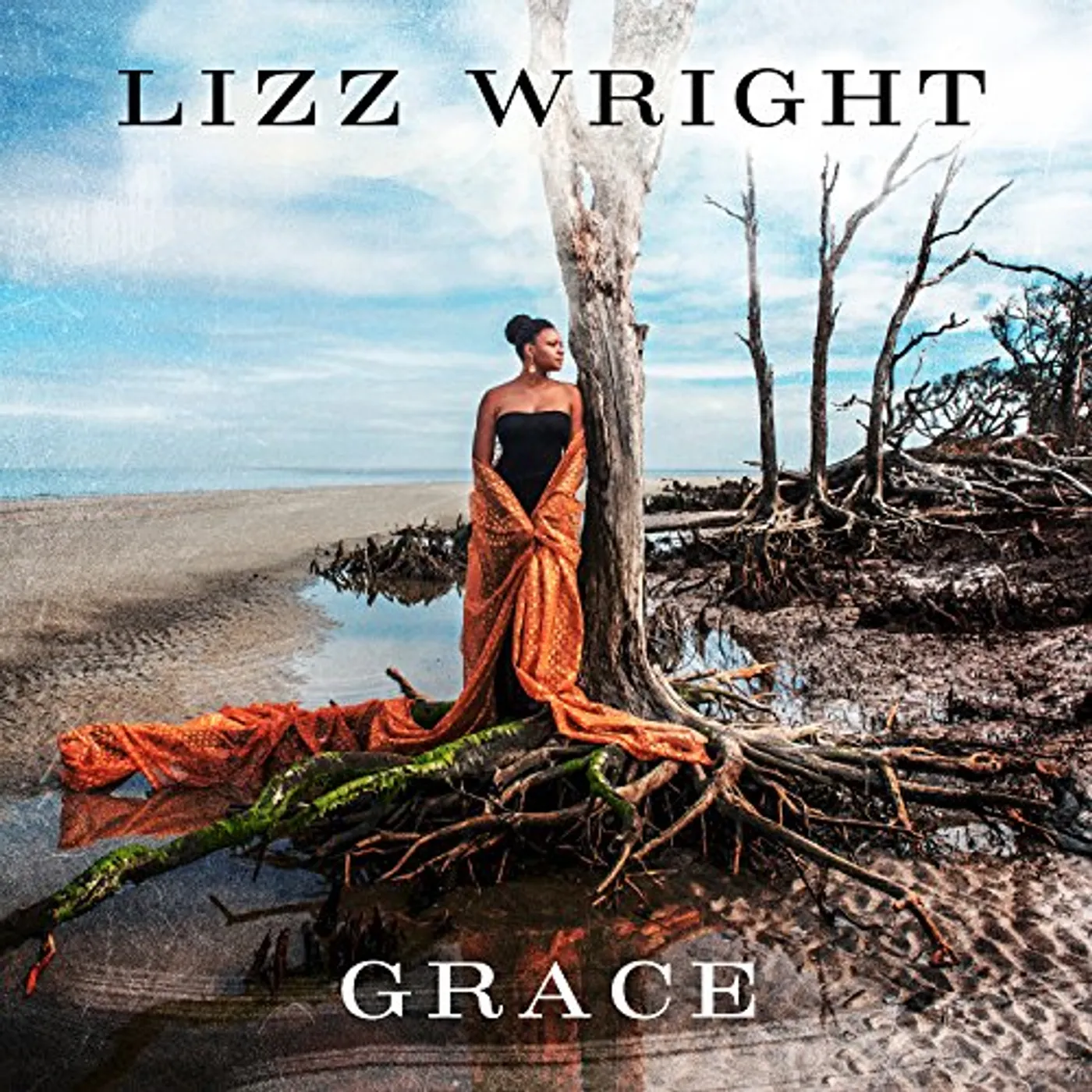 Lizz Wright Grace Vinyl Record