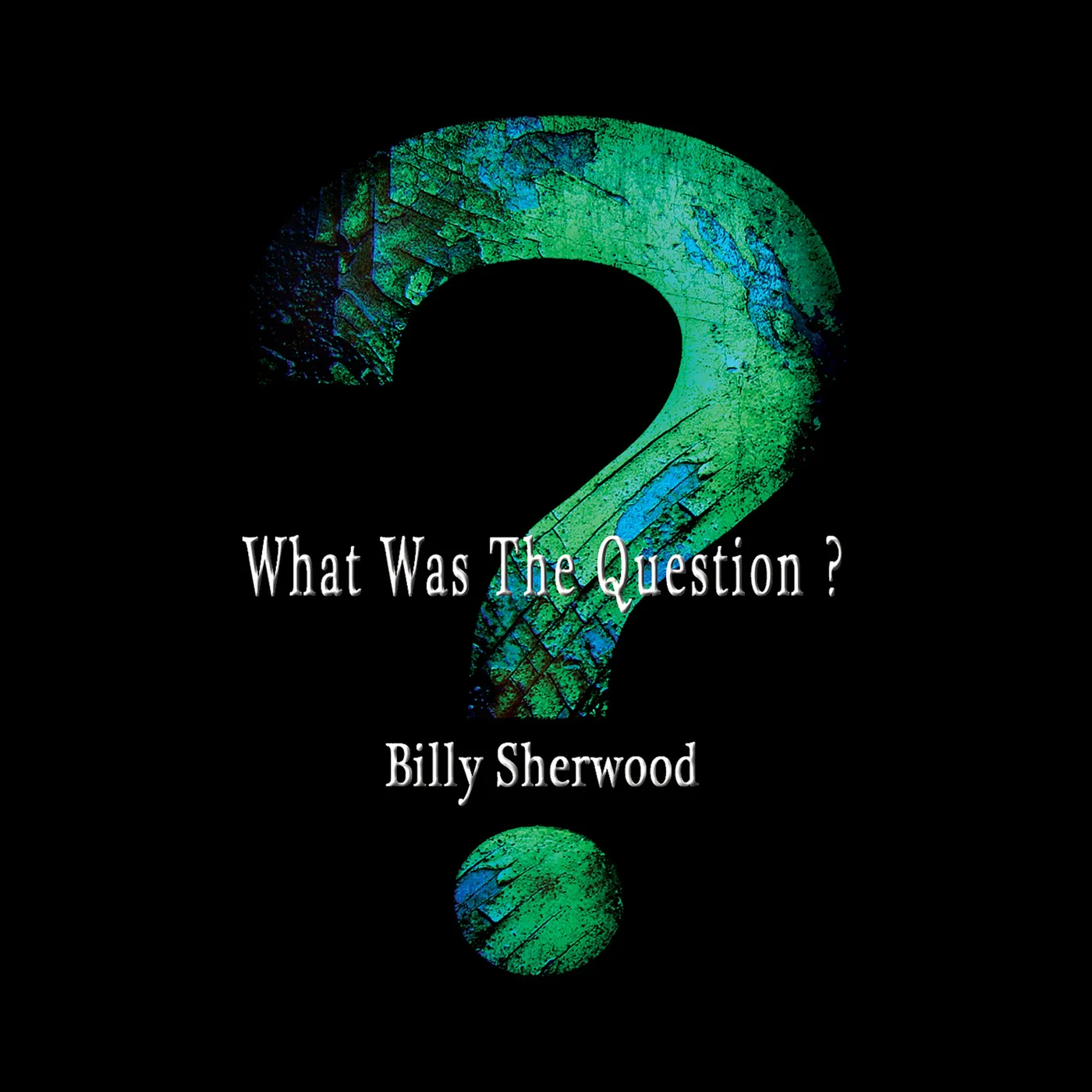 Billy Sherwood WHAT WAS THE QUESTION CD