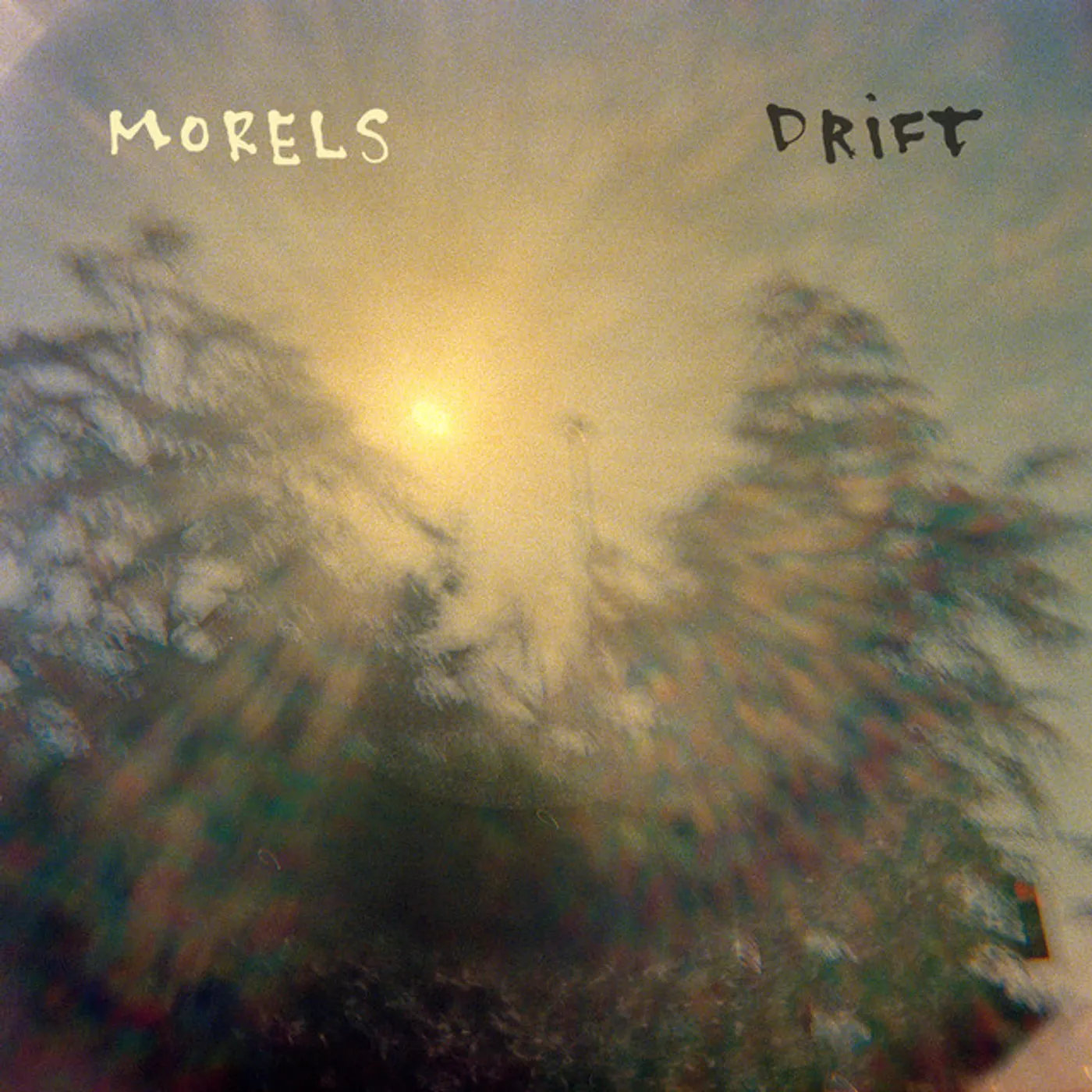 Morels Drift Vinyl Record