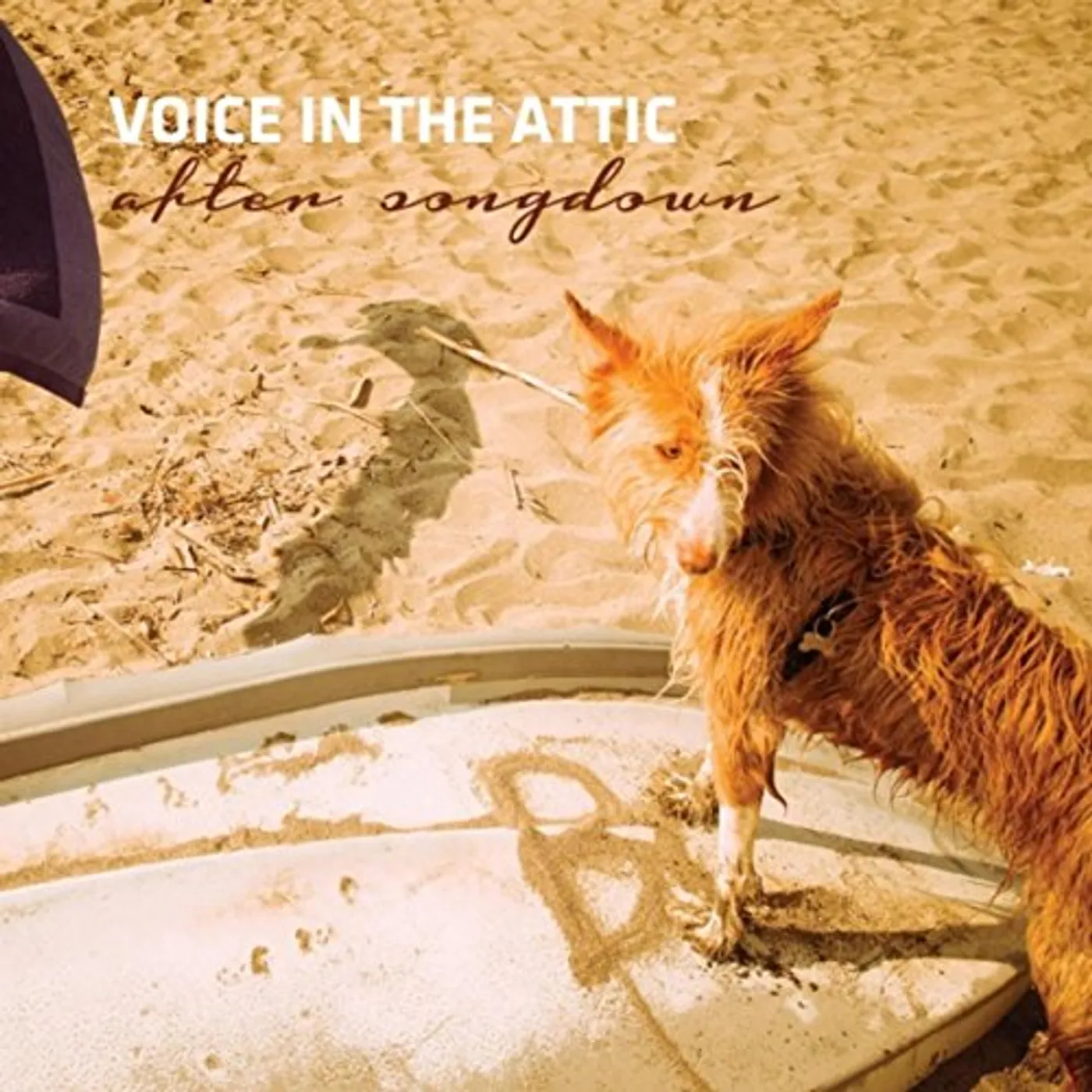 Voice In the Attic AFTER SONGDOWN CD
