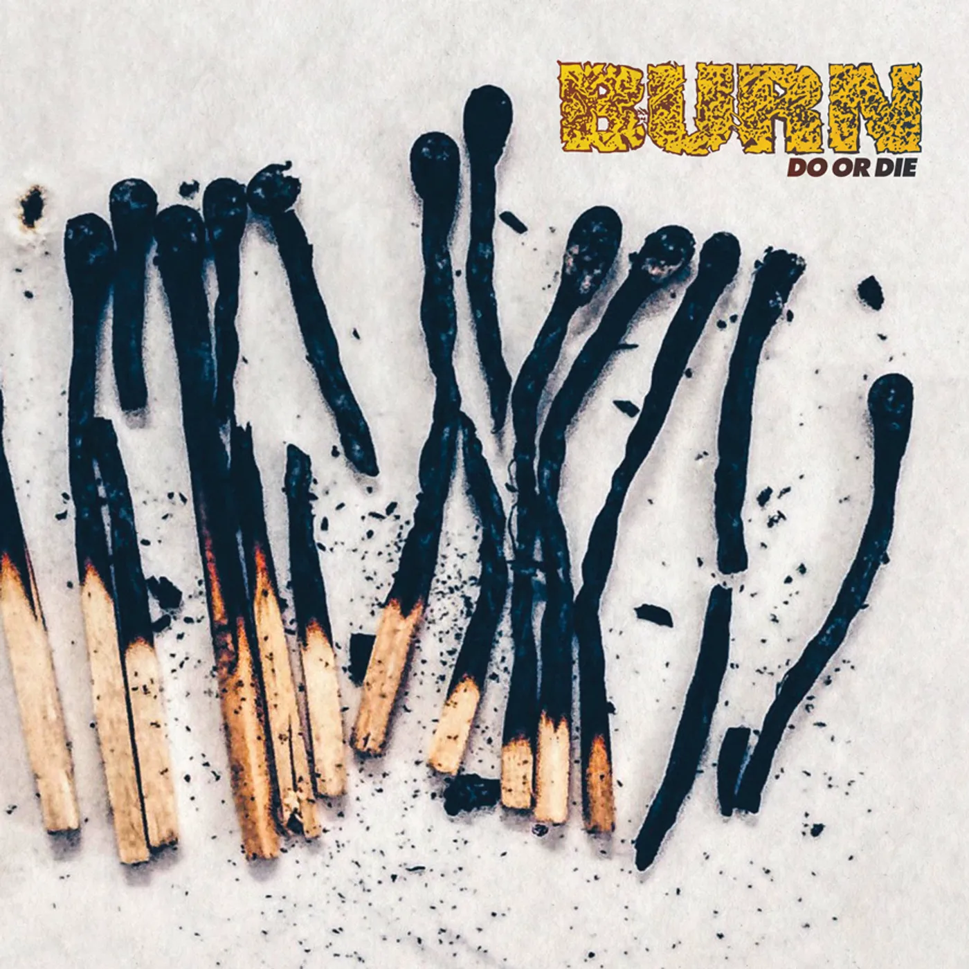 Burn Do Or Die Vinyl Record