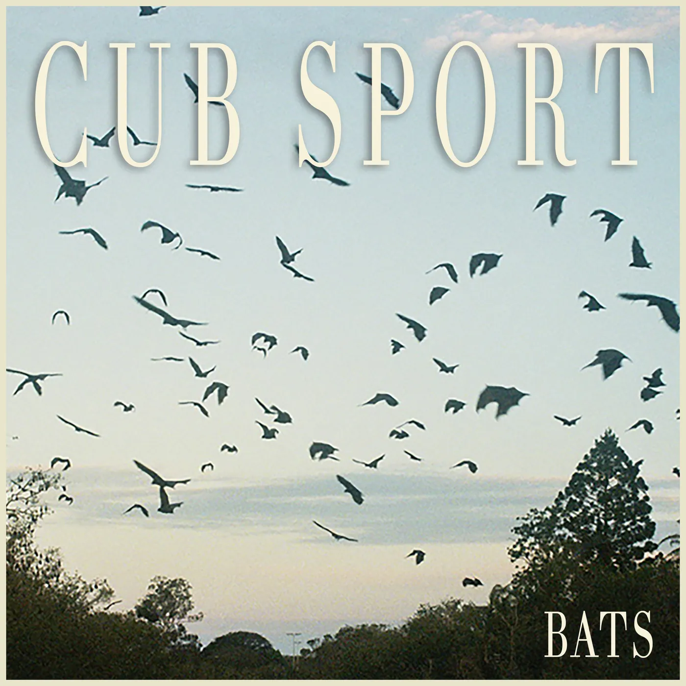 Cub Sport BATS - Limited Edition Clear w/ Black Splatter Colored Vinyl Record
