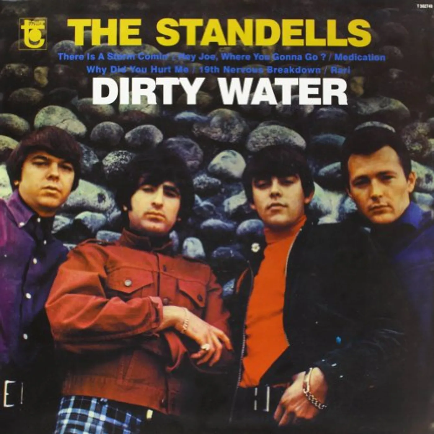 The Standells DIRTY WATER Vinyl Record