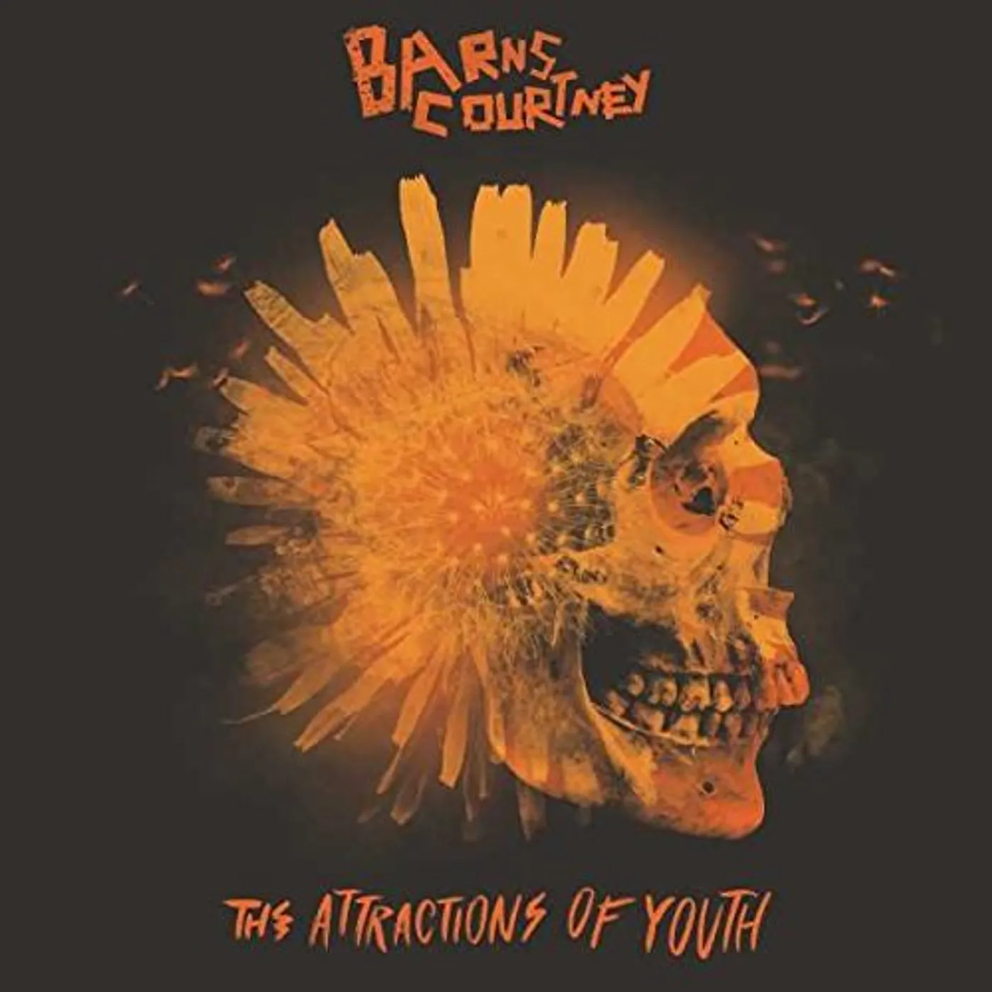 Barns Courtney ATTRACTIONS OF YOUTH CD