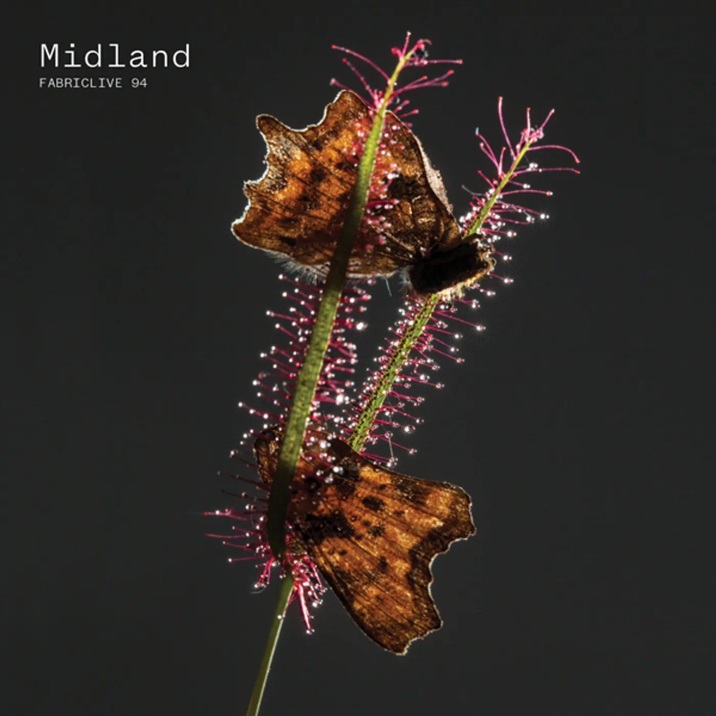 Midland FABRICLIVE 94 CD