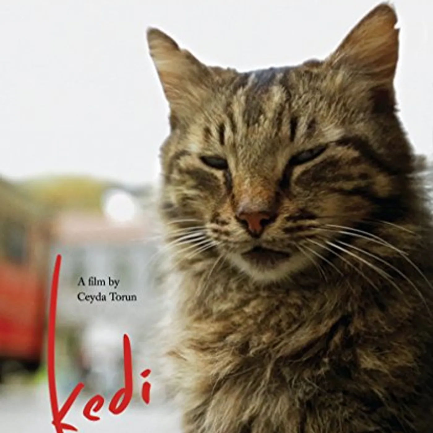 KEDI Blu-ray