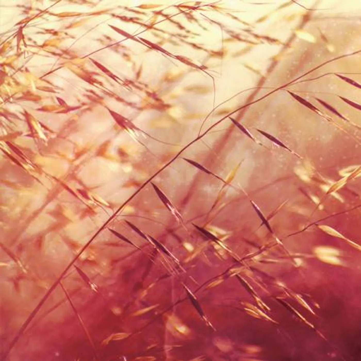 Secret Pyramid Two Shadows Collide Vinyl Record