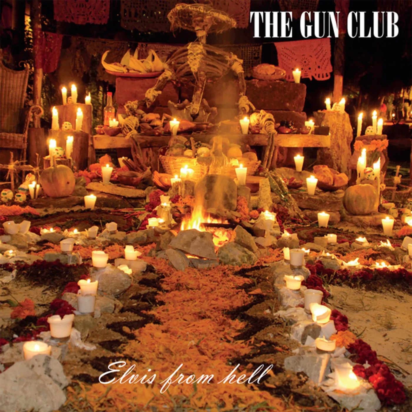 The Gun Club ELVIS FROM HELL Vinyl Record